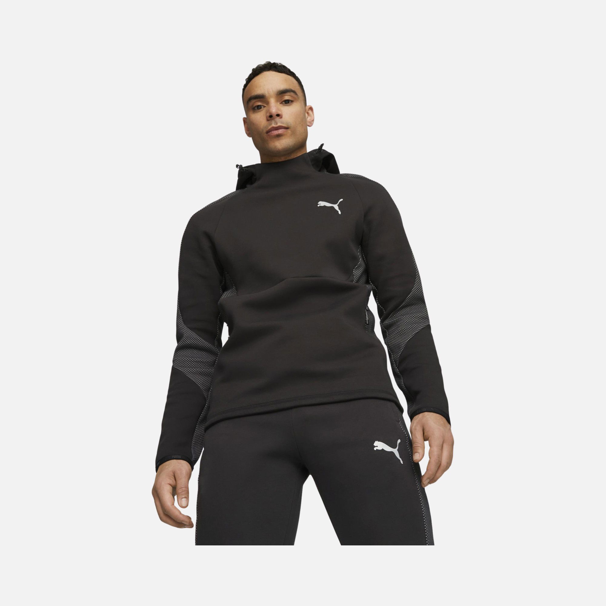 Puma Sportswear Evostripe Dk Hoodie Erkek Sweatshirt