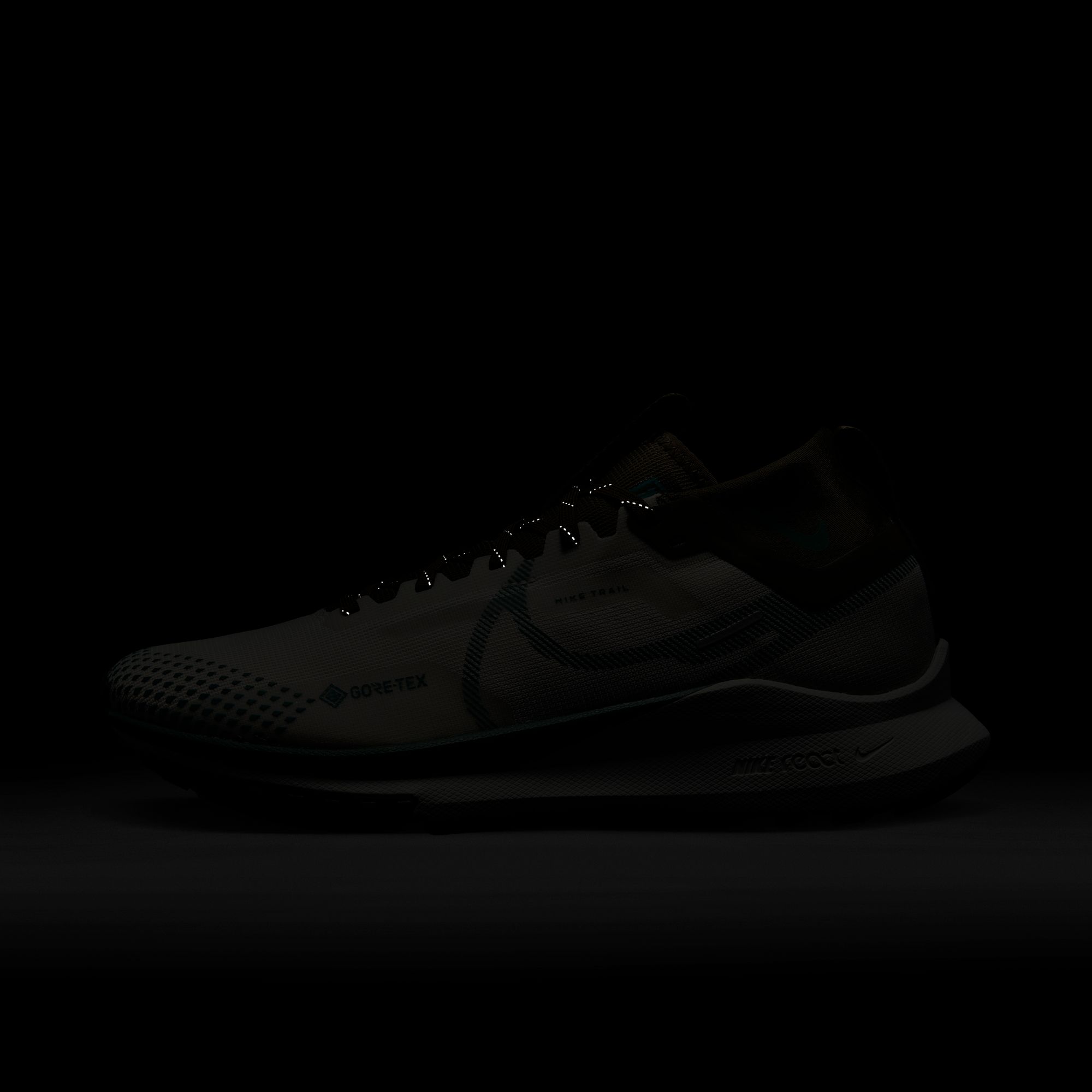 Nike React Pegasus Trail 4 Gore-Tex Road Running Erkek Spor Ayakkabı