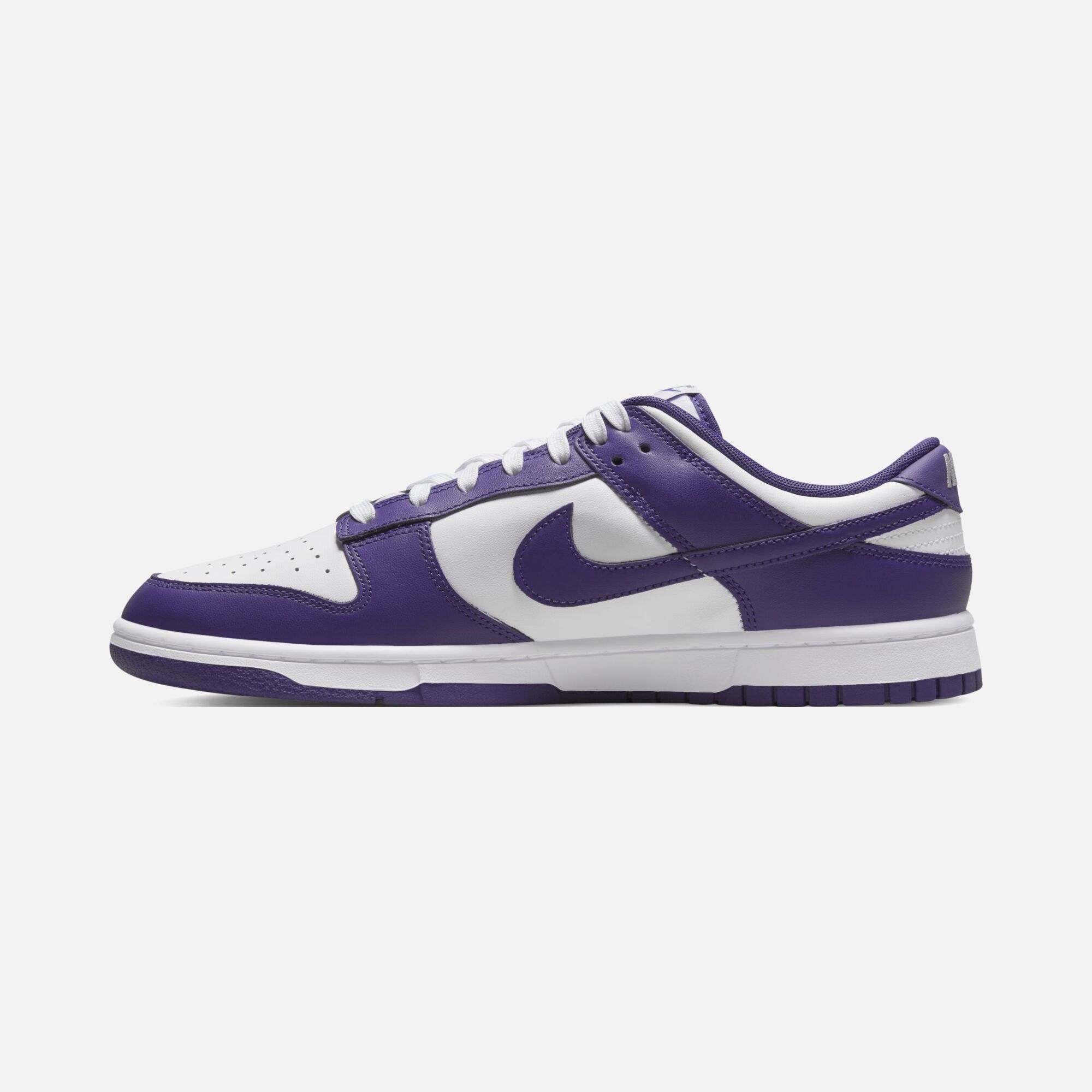 Nike Dunk Low Retro Erkek Spor Ayakkabı