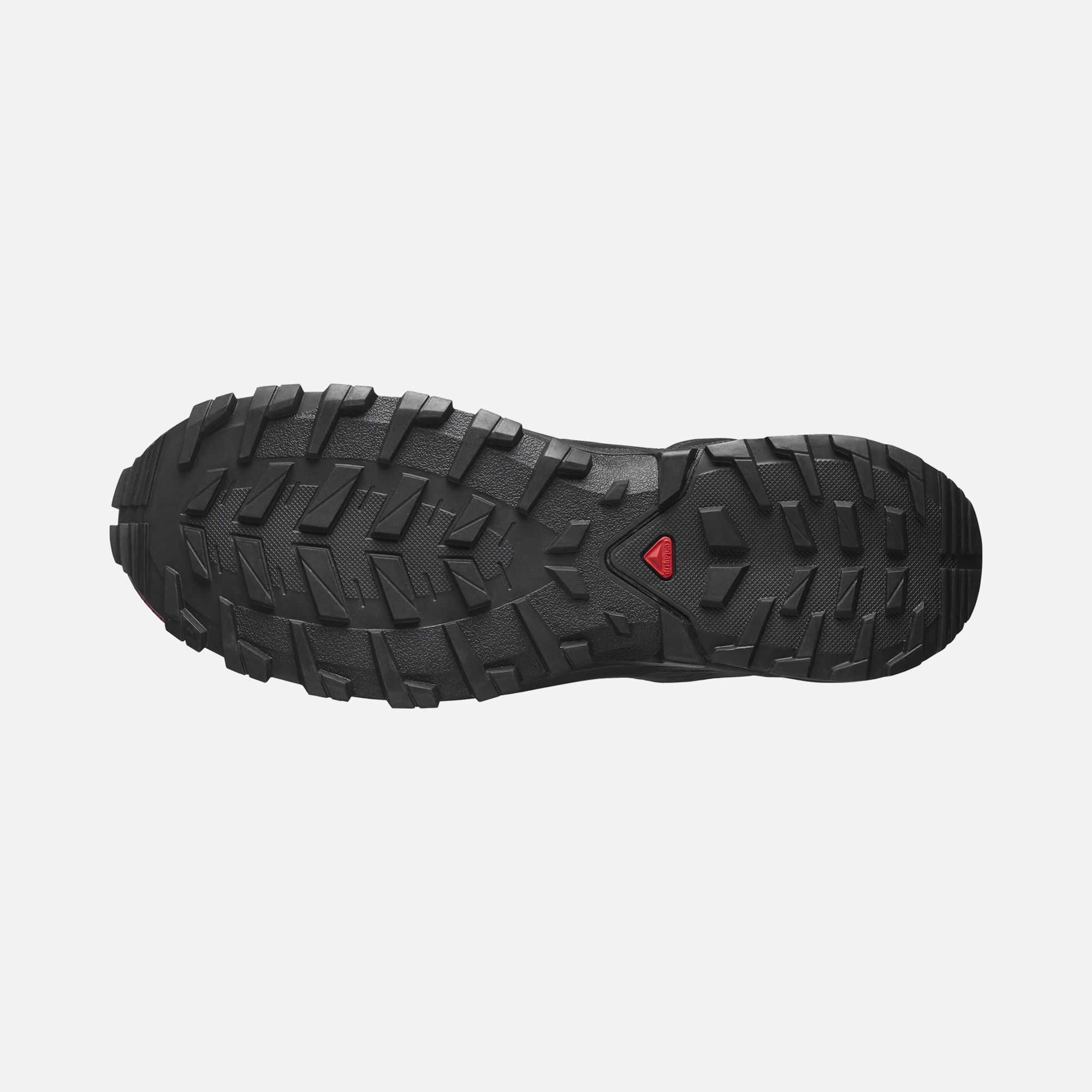 Salomon XA Rogg 2 Gore-Tex Trail Running Erkek Spor Ayakkabı
