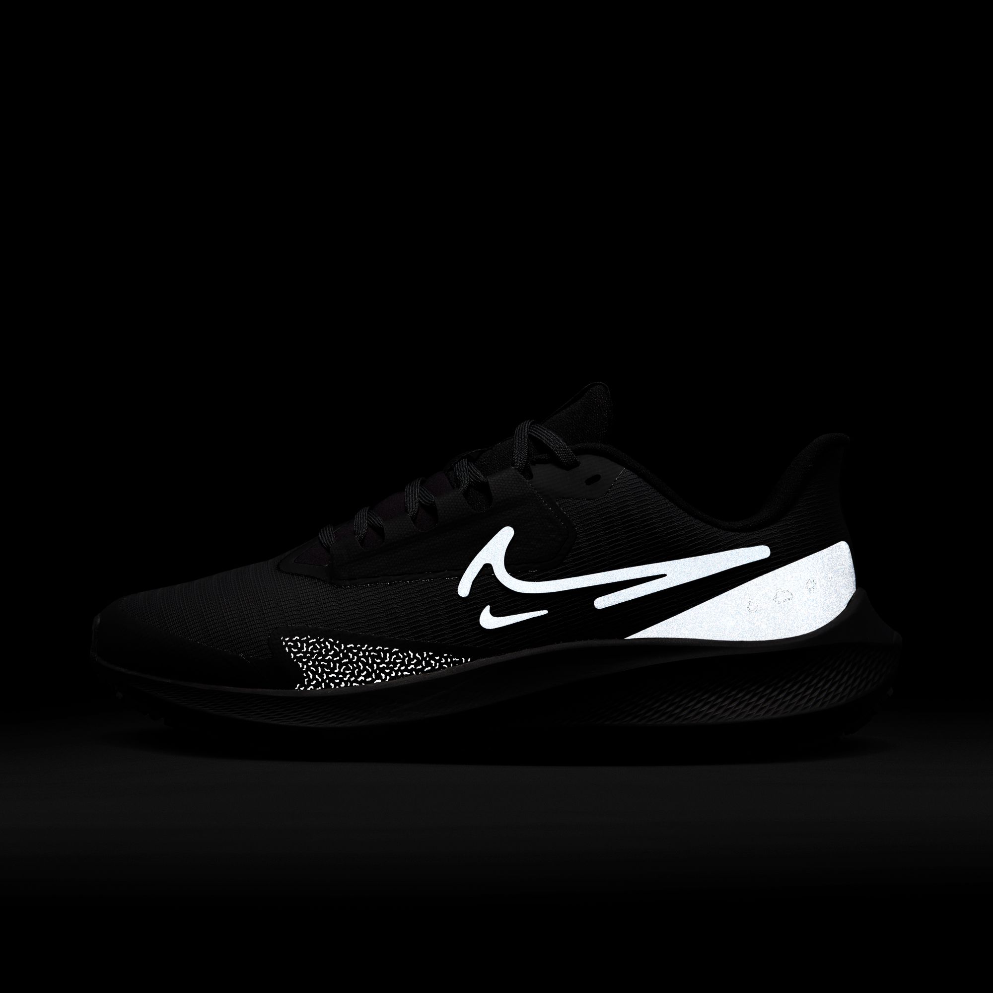 Nike Air Zoom Pegasus 39 Shield Weatherised Road Running Kadın Spor Ayakkabı