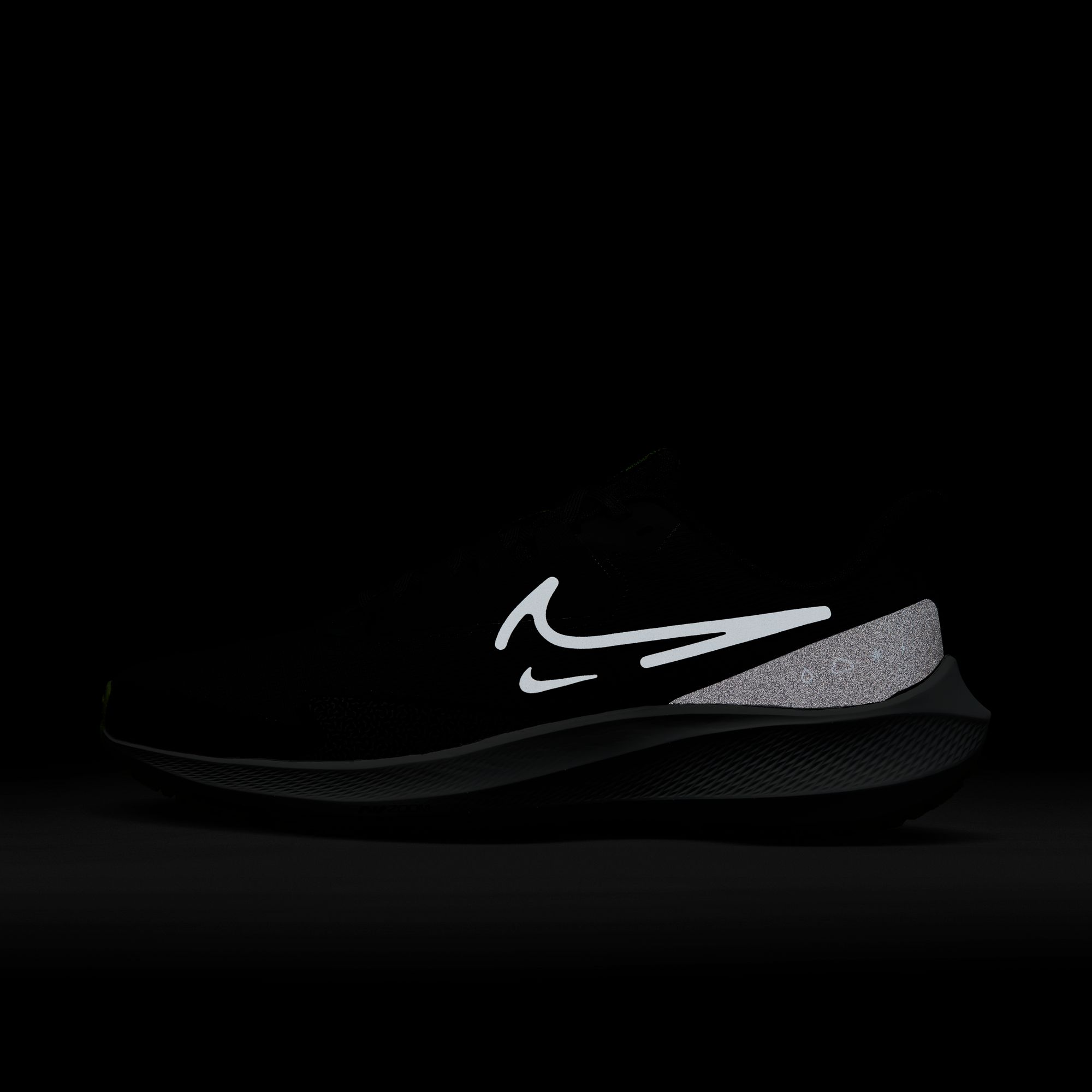 Nike Air Zoom Pegasus 39 Shield Weatherised Road Running Erkek Spor Ayakkabı