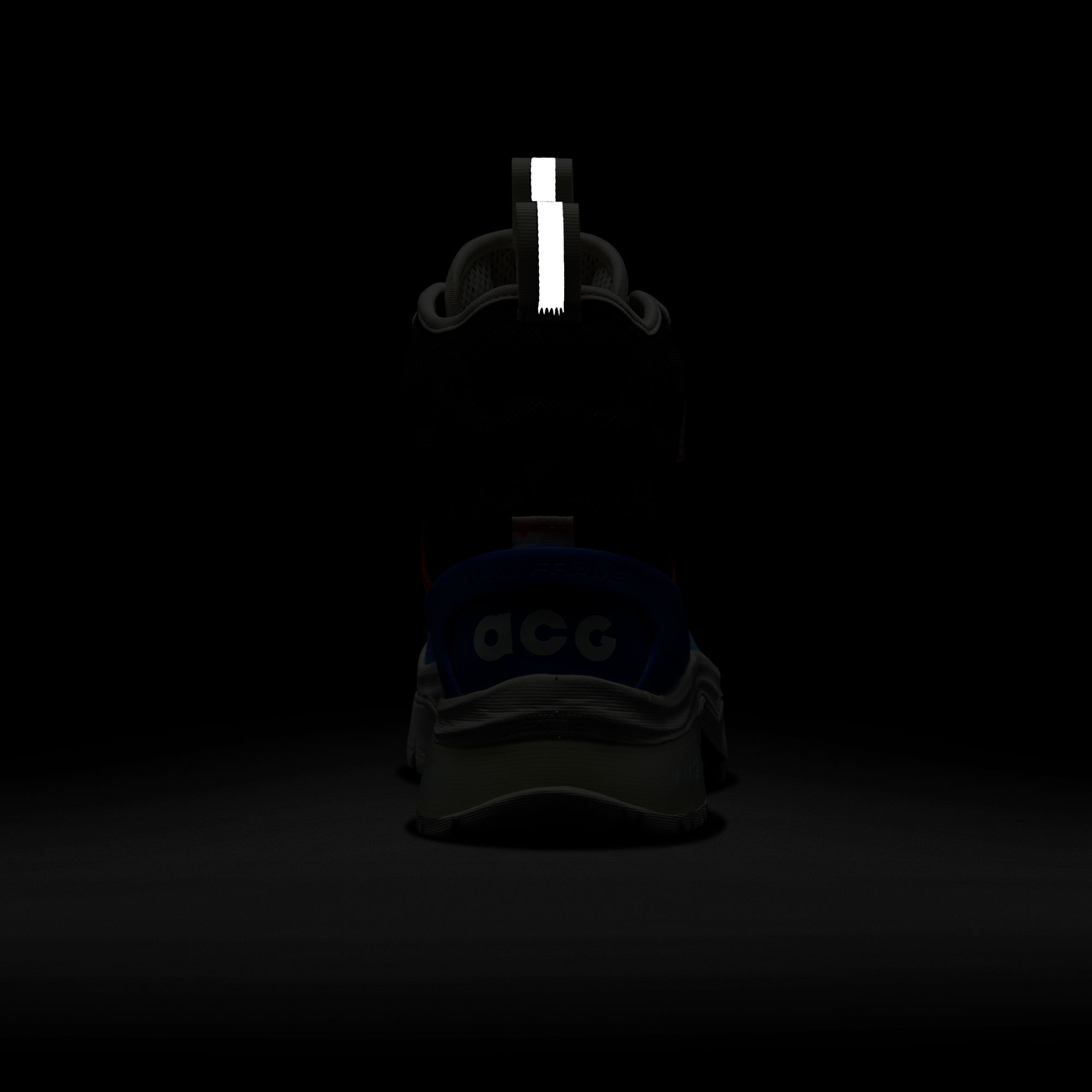 Nike ACG Zoom Gaiadome Gore-Tex Erkek Bot