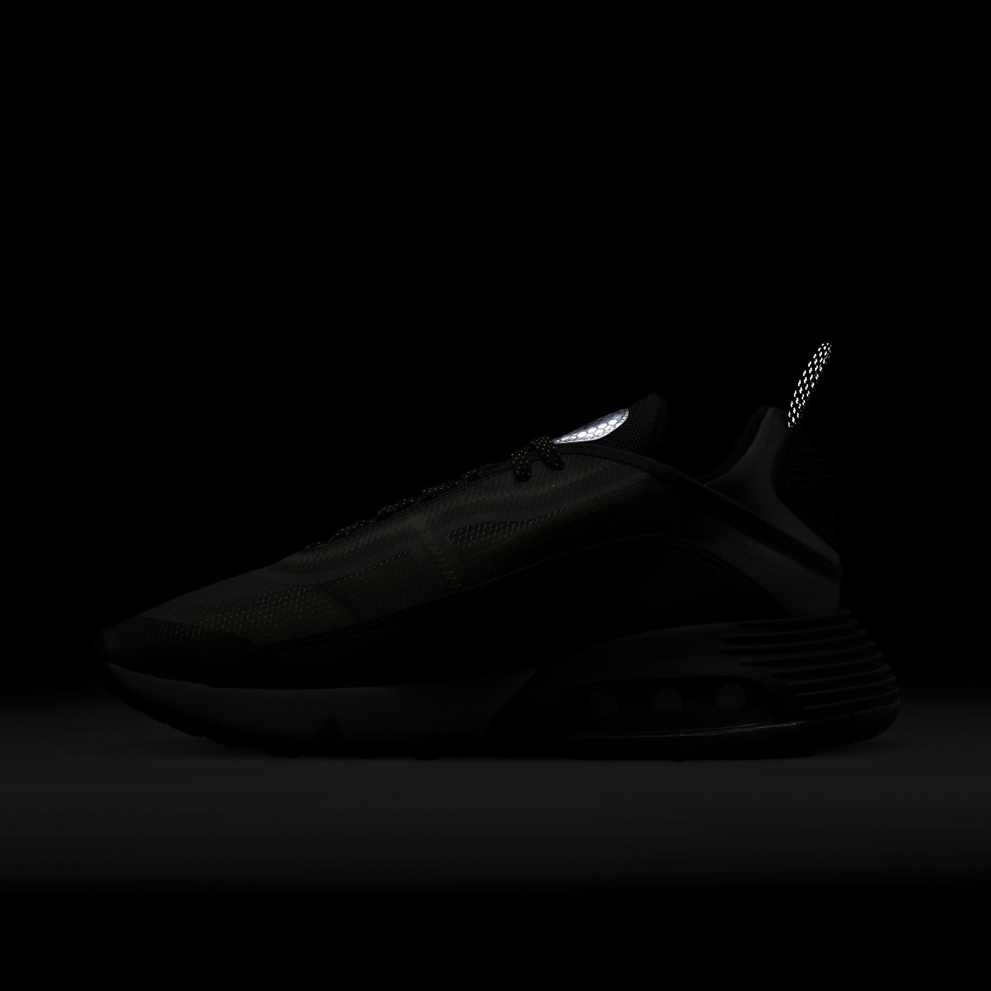 Nike Air Max 2090 SE Erkek Spor Ayakkabı