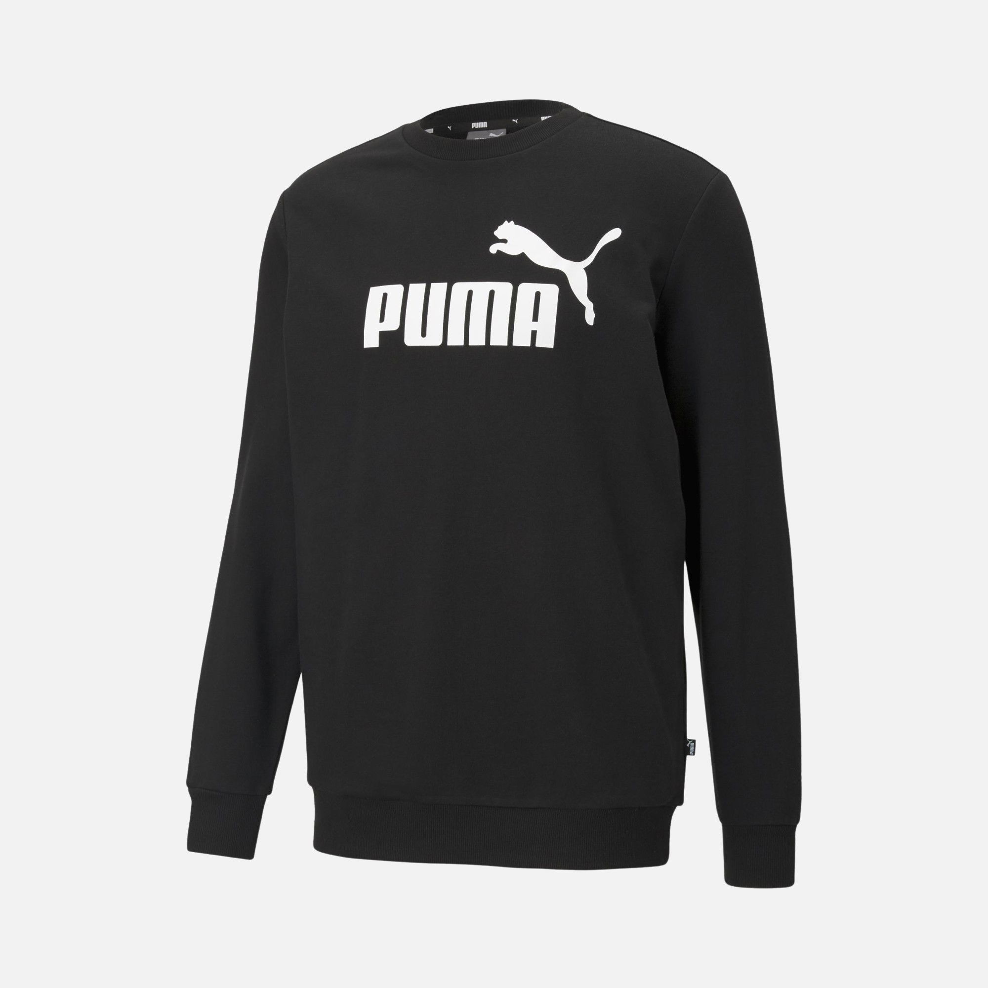 Puma Sportswear Essentials Logo Hoodie Erkek Sweatshirt