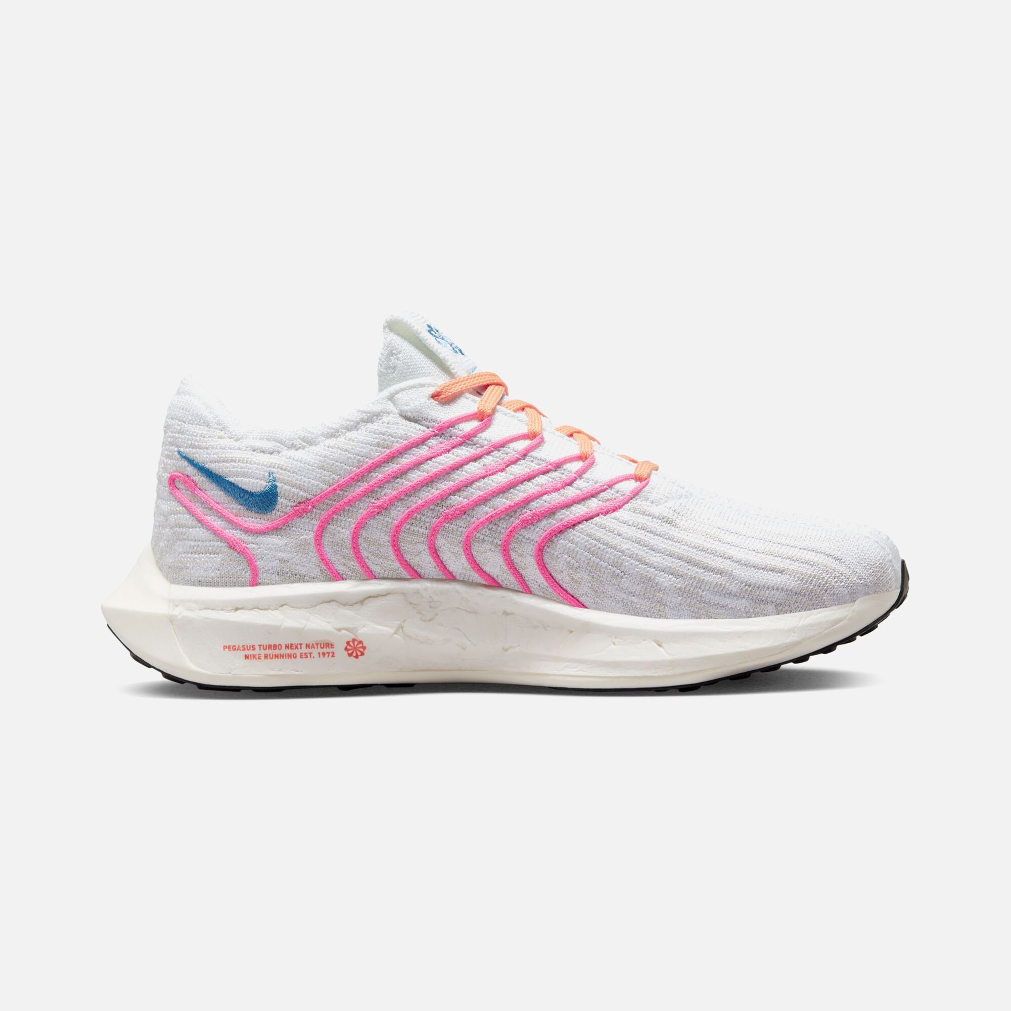 Nike Pegasus Turbo Next Nature Road Running FW22 Kadın Spor Ayakkabı