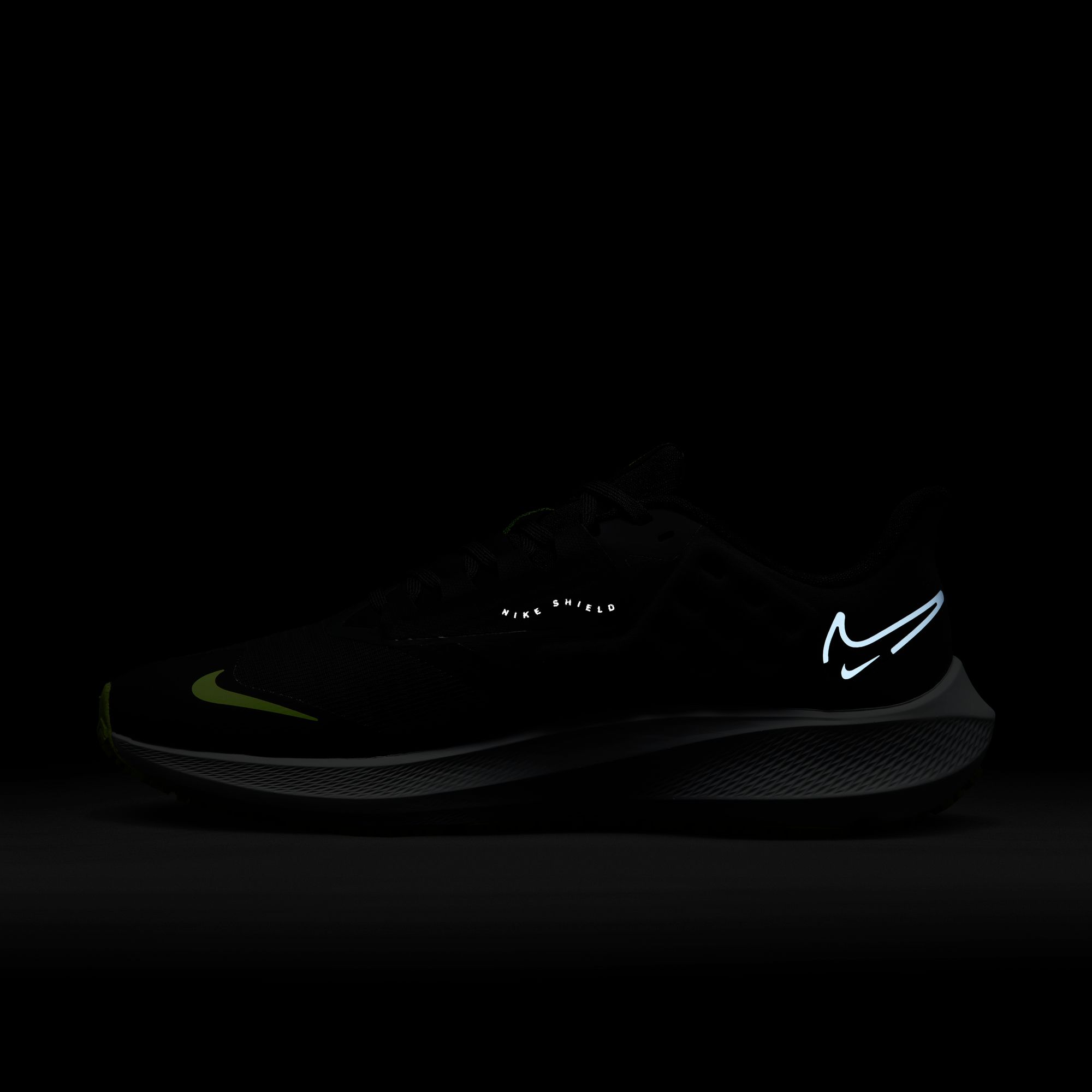 Nike Air Zoom Pegasus 39 Shield Weatherised Road Running Erkek Spor Ayakkabı