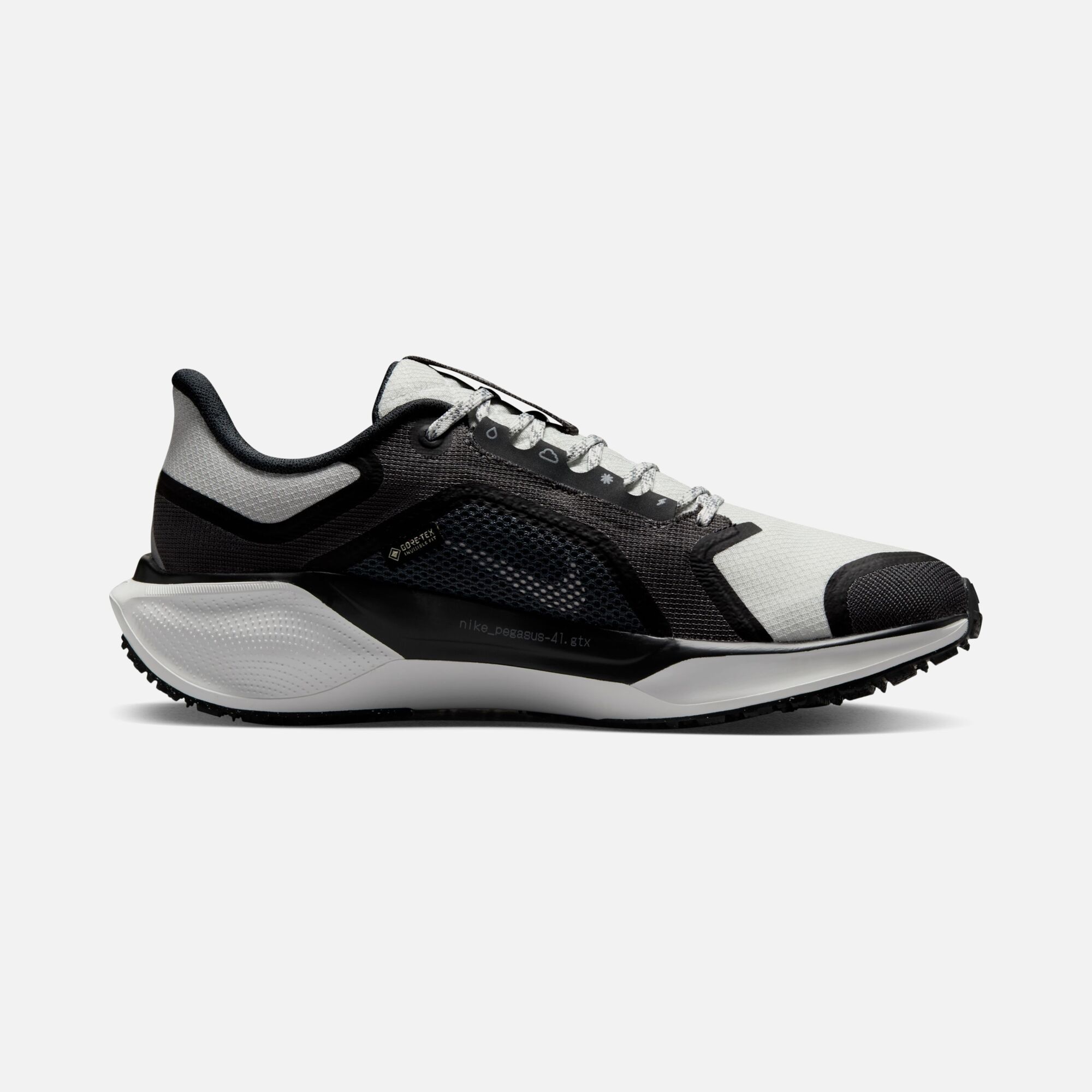Nike Air Zoom Pegasus 41 Gore-Tex Waterproof Road Running Kadın Spor Ayakkabı