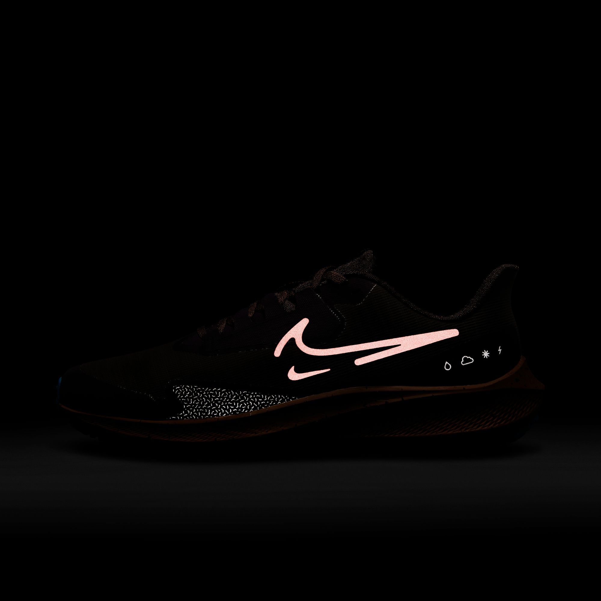 Nike Air Zoom Pegasus 39 Shield Weatherised Road Running Erkek Spor Ayakkabı