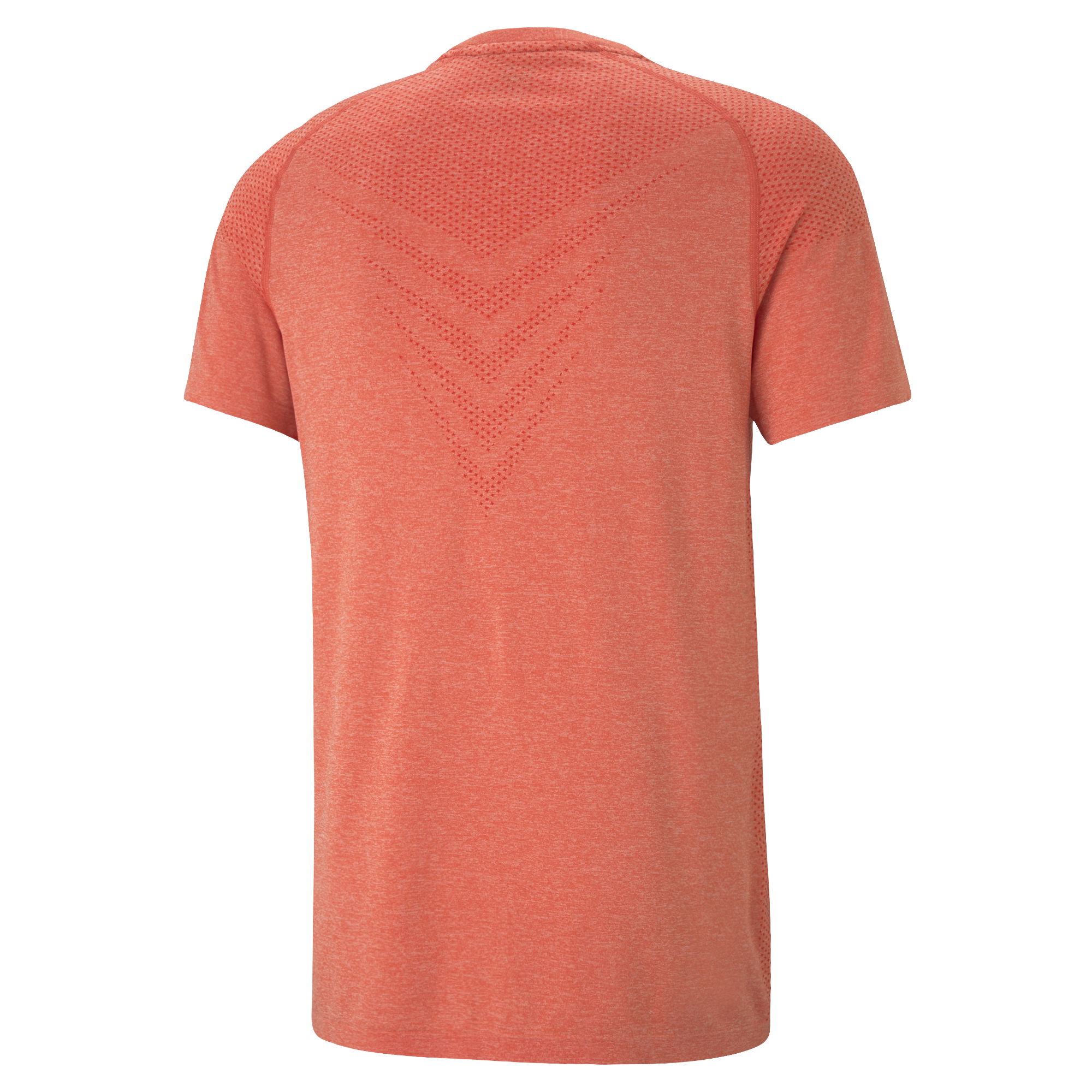 Puma evoKNIT Tech Training Short-Sleeve Erkek Tişört