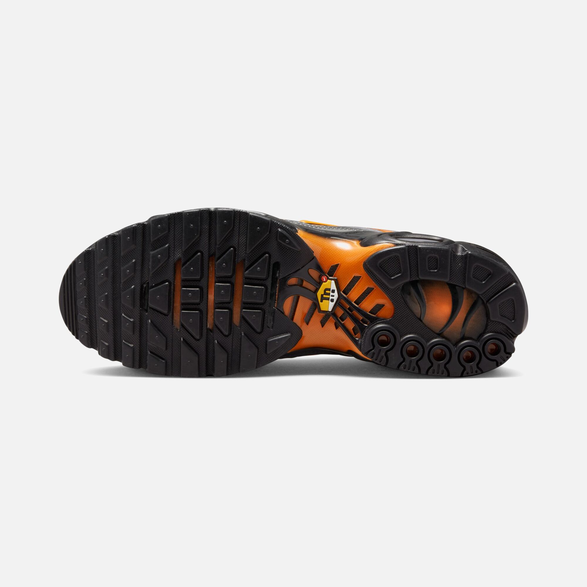 Nike Air Max Plus HO22 Erkek Spor Ayakkabı