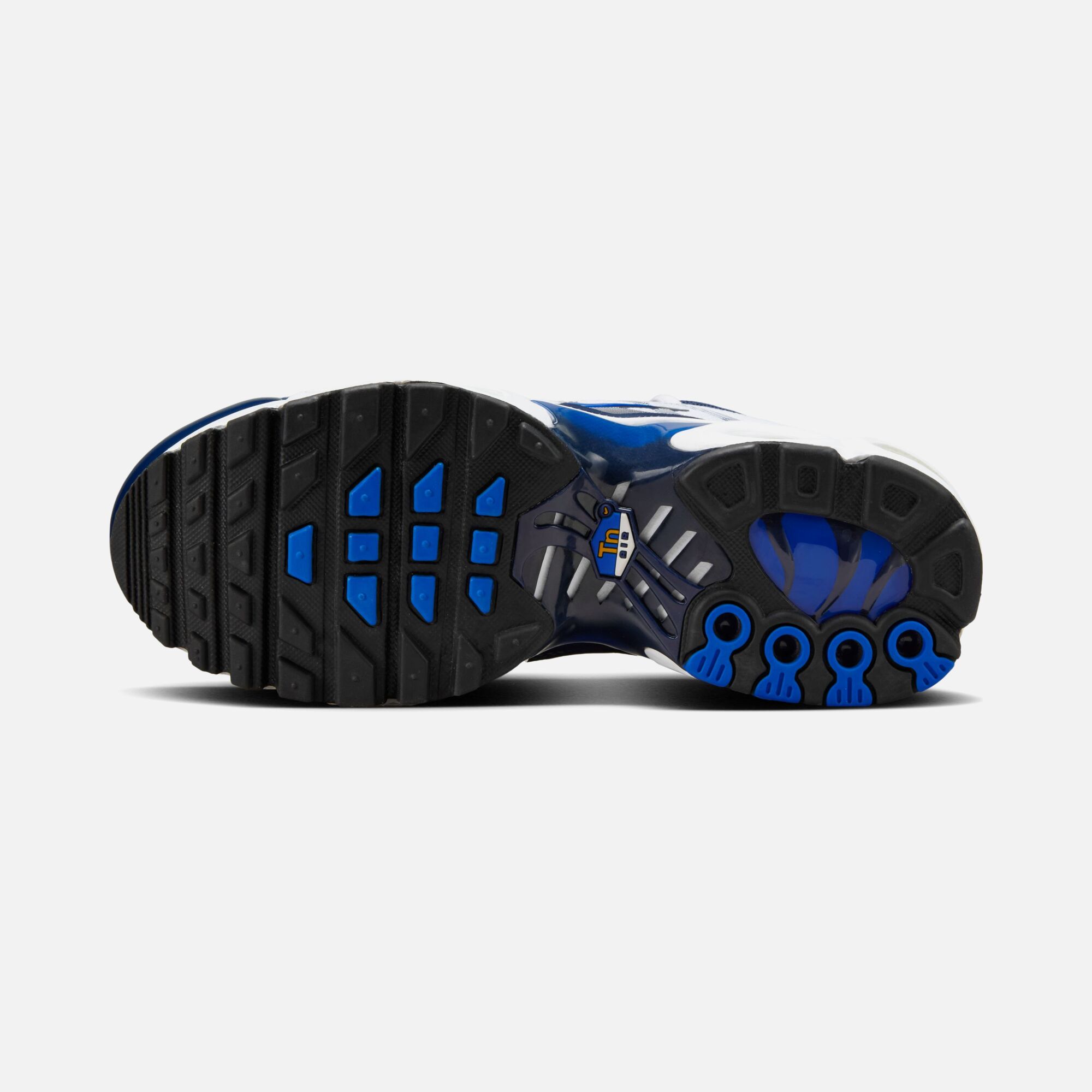 Nike Air Max Plus (GS) Spor Ayakkabı