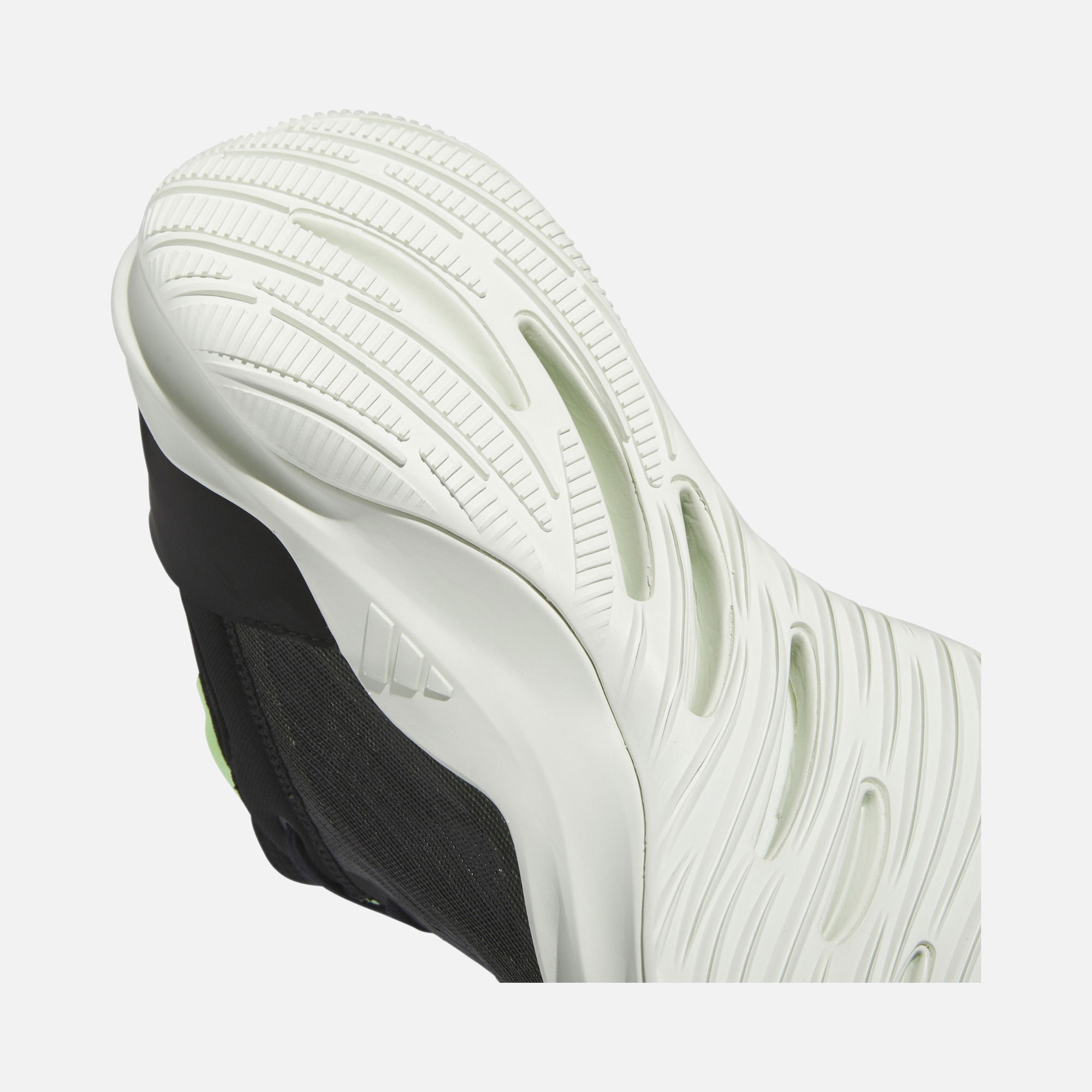 adidas Adizero Select 2.0 Erkek Basketball Ayakkabısı
