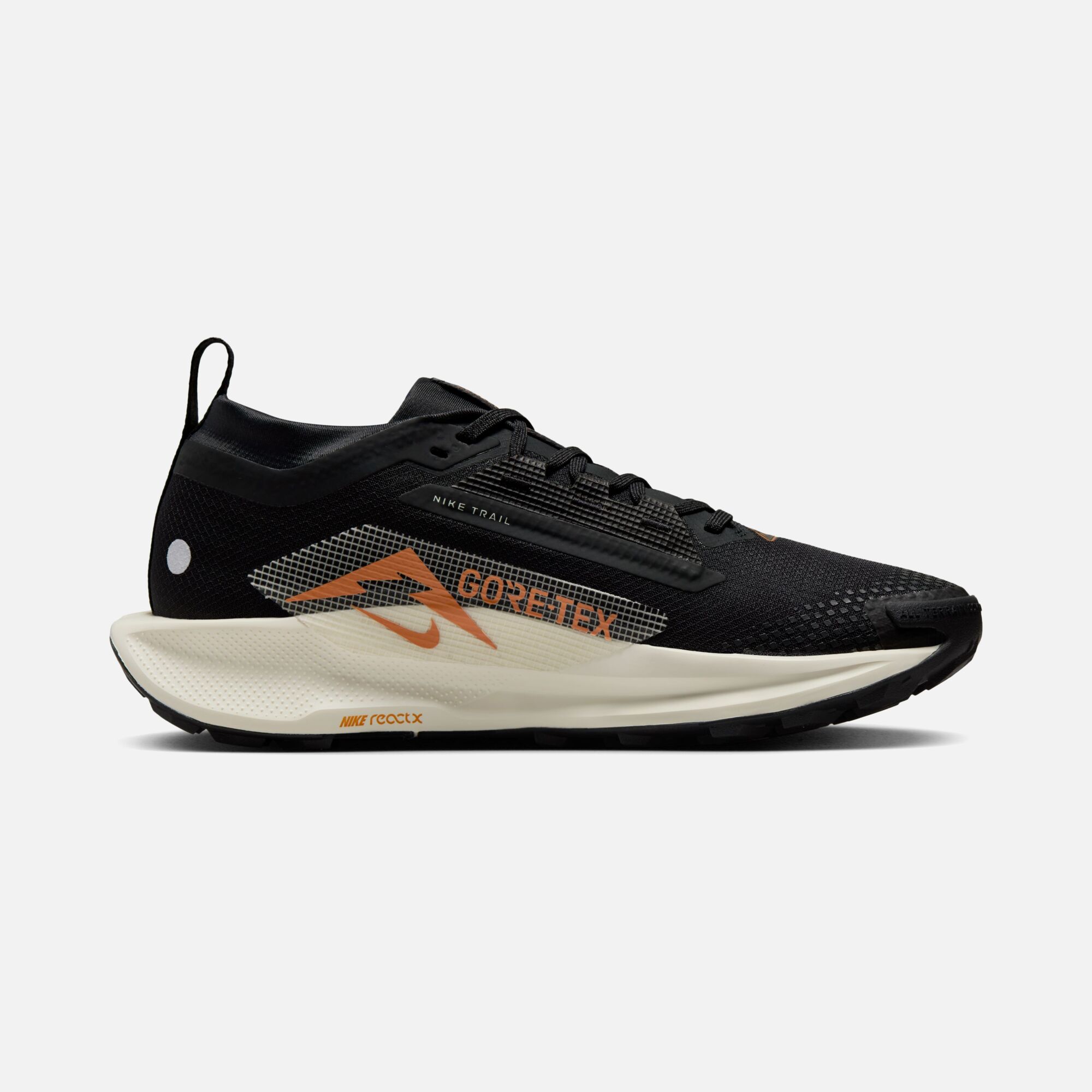 Nike Pegasus Trail 5 Gore-Tex Running Kadın Spor Ayakkabı