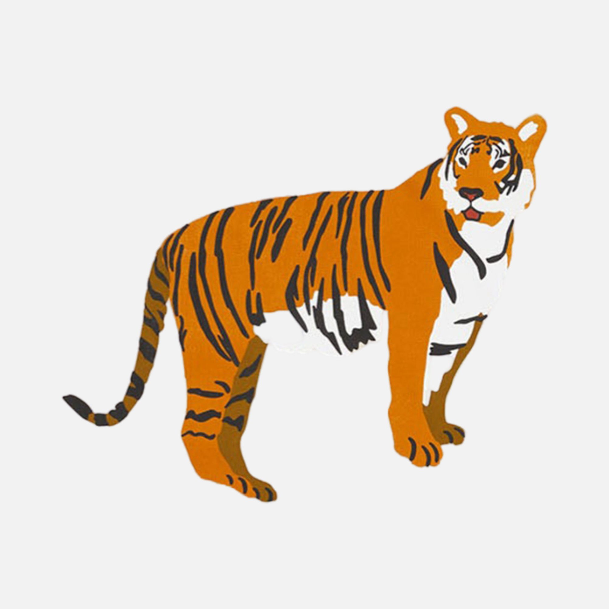 WWF Kaplan Ecological Printing (170 x 90 cm) Unisex Towel Peştamal