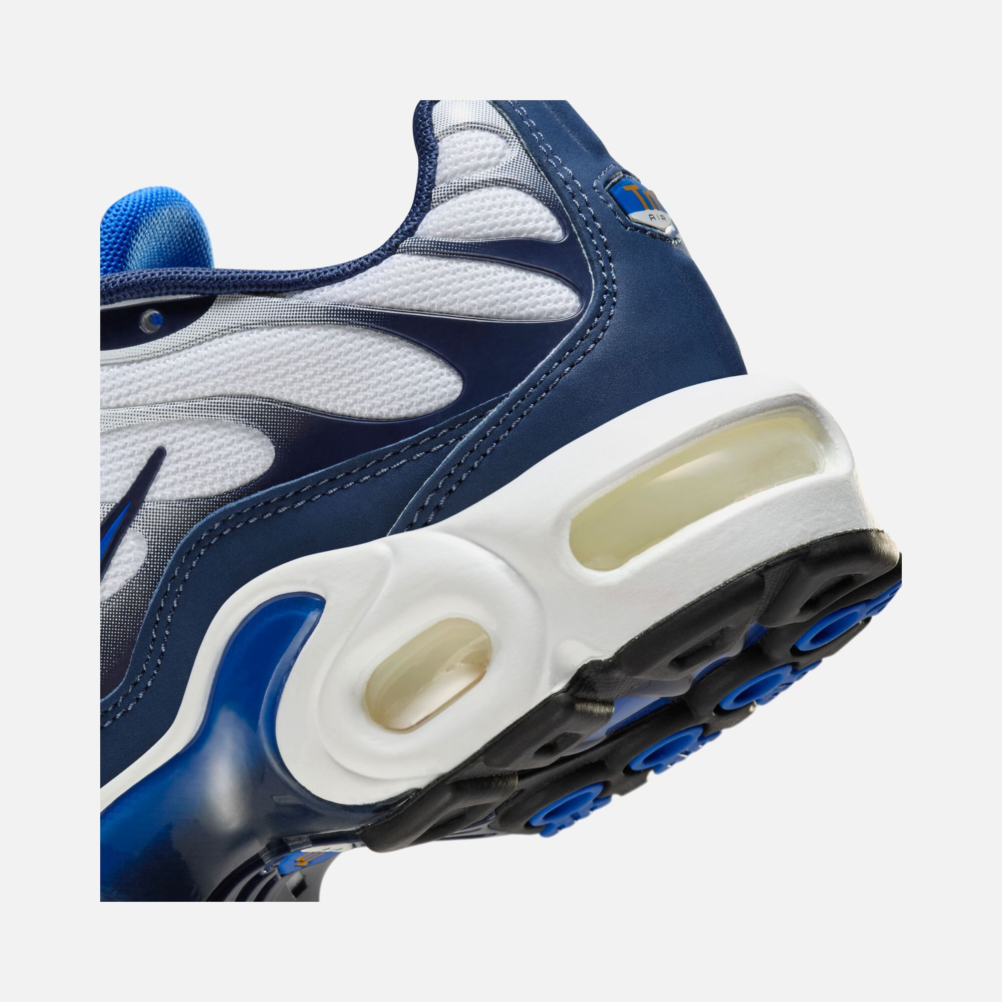 Nike Air Max Plus (GS) Spor Ayakkabı