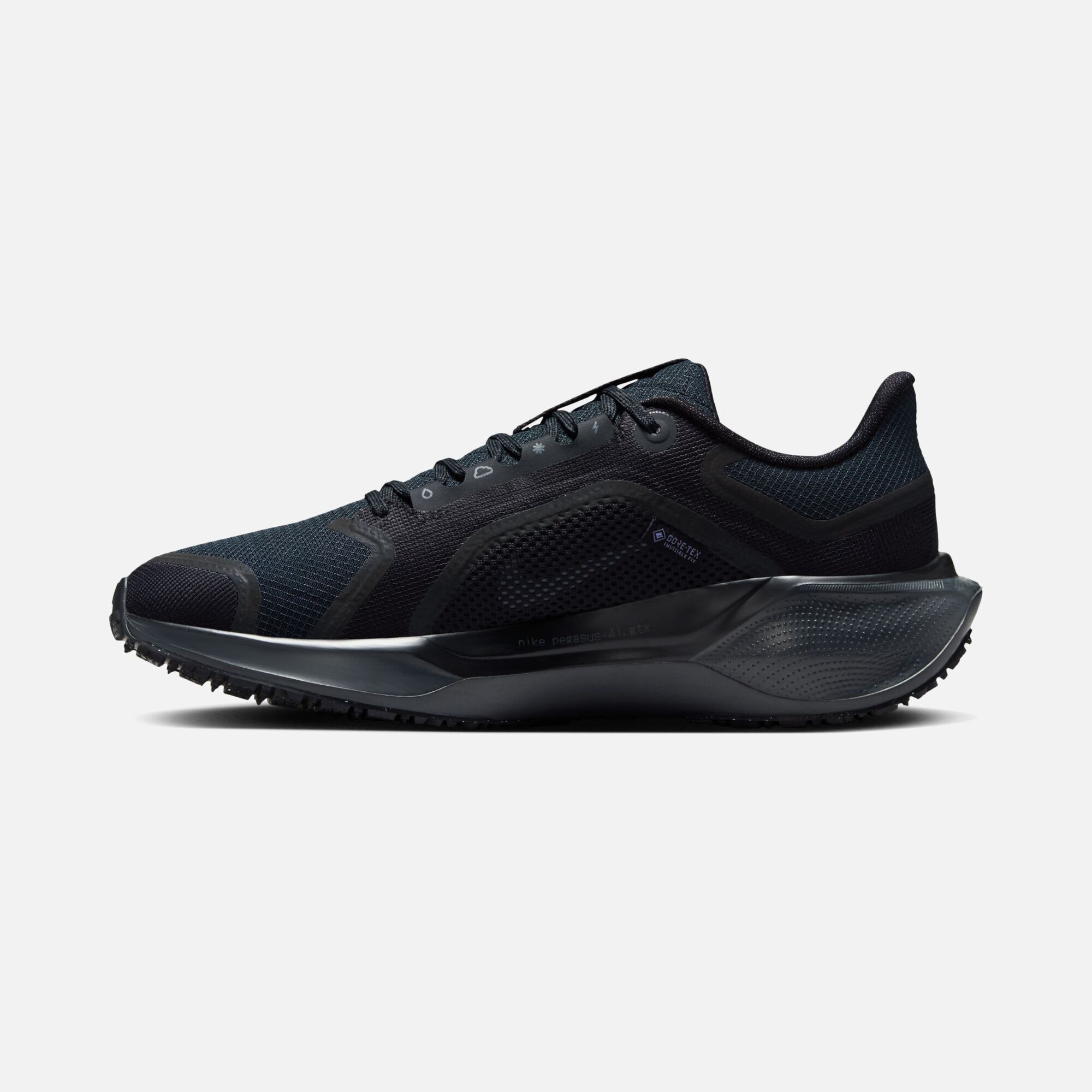 Nike Air Zoom Pegasus 41 Gore-Tex Waterproof Road Running Kadın Spor Ayakkabı