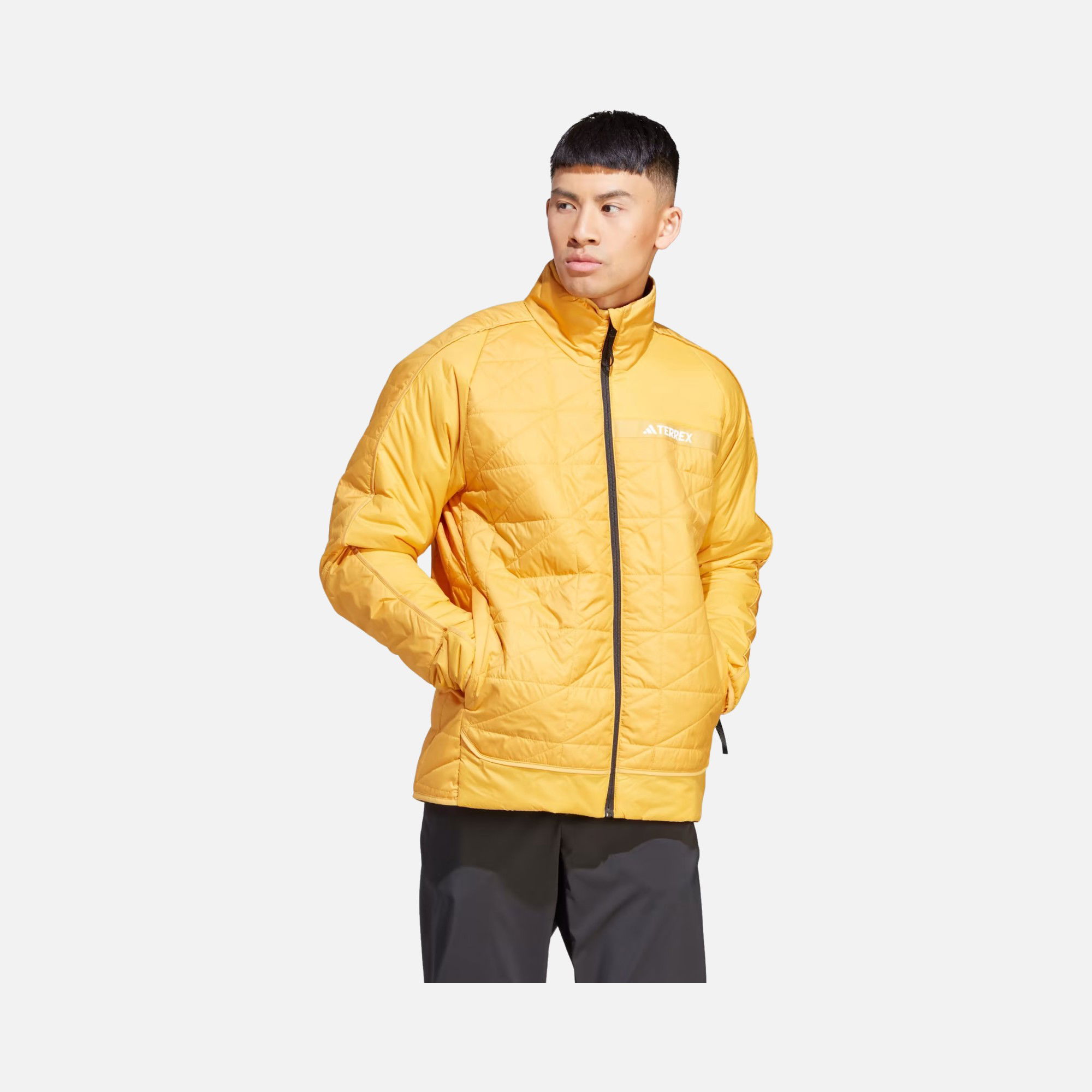 adidas Terrex Multi Insulation Full-Zip Hoodie Erkek Ceket