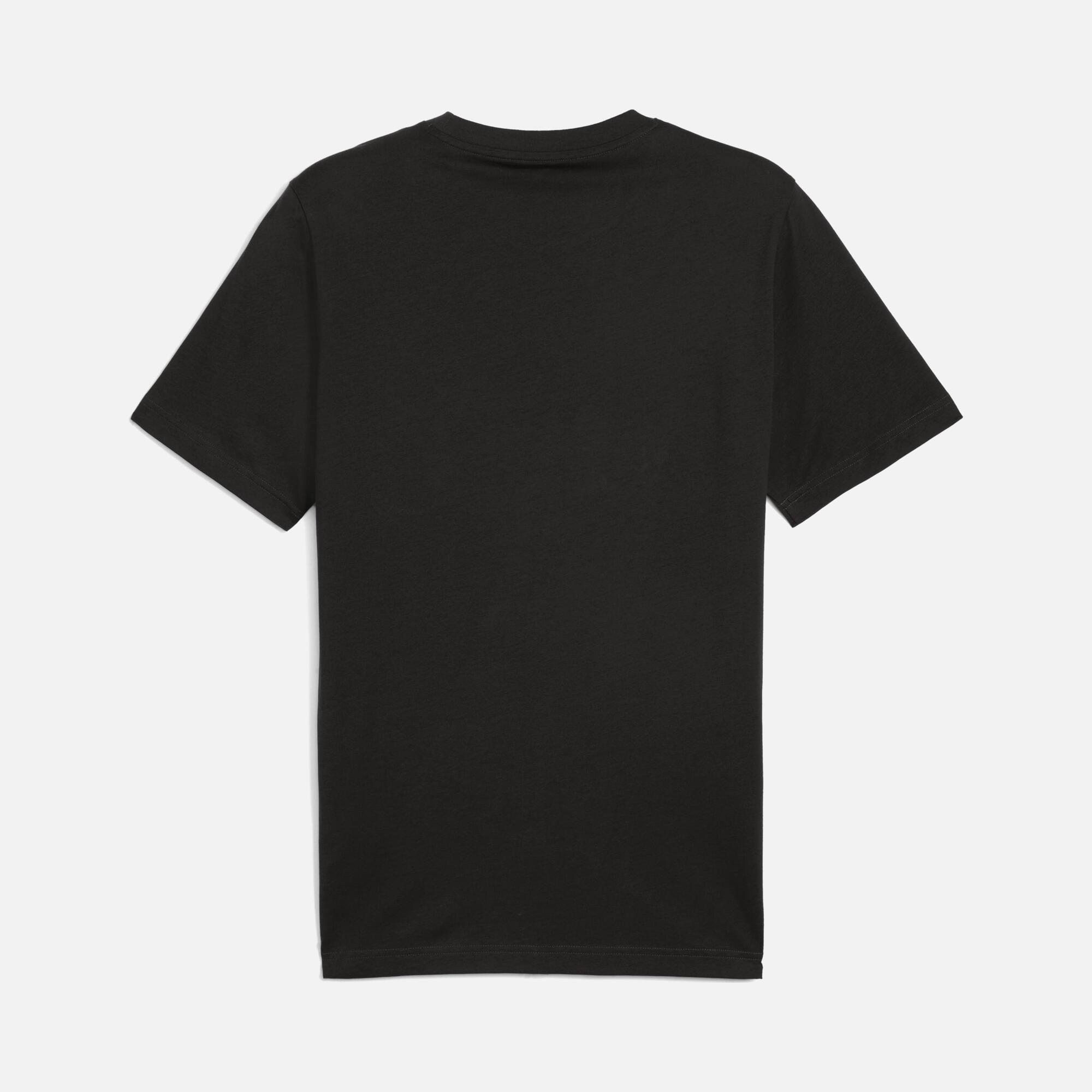 Puma Sportswear Graphics Mountain Regular-Fit Short-Sleeve Erkek Tişört