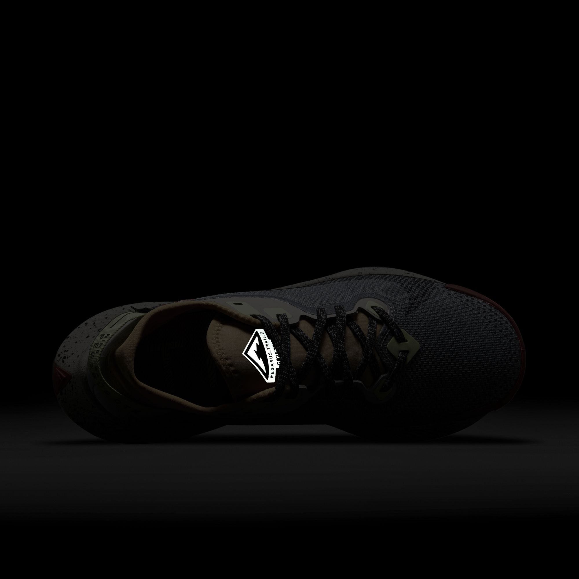 Nike Pegasus Trail 2 Gore-Tex Kadın Spor Ayakkabı