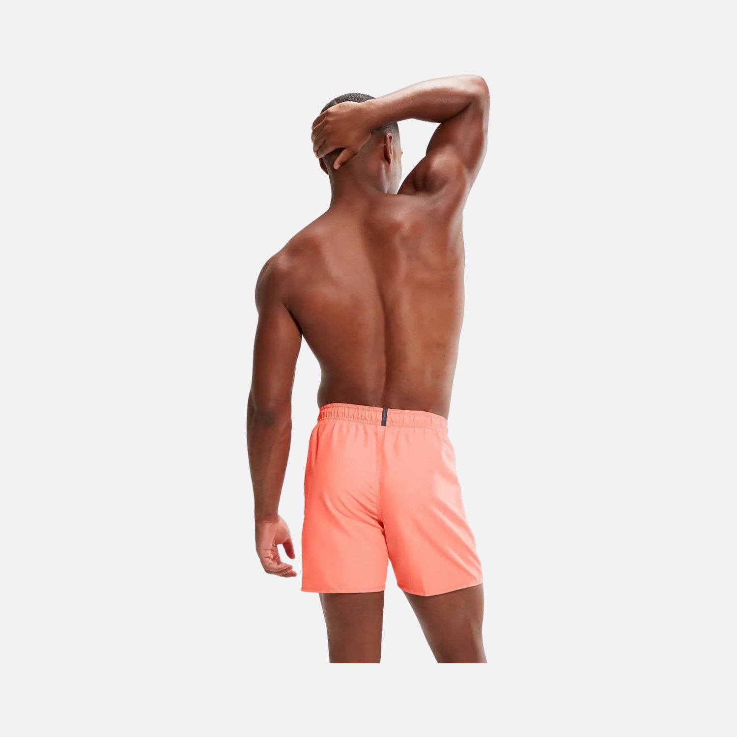Speedo Prime Leis 16" Erkek Şort Mayo