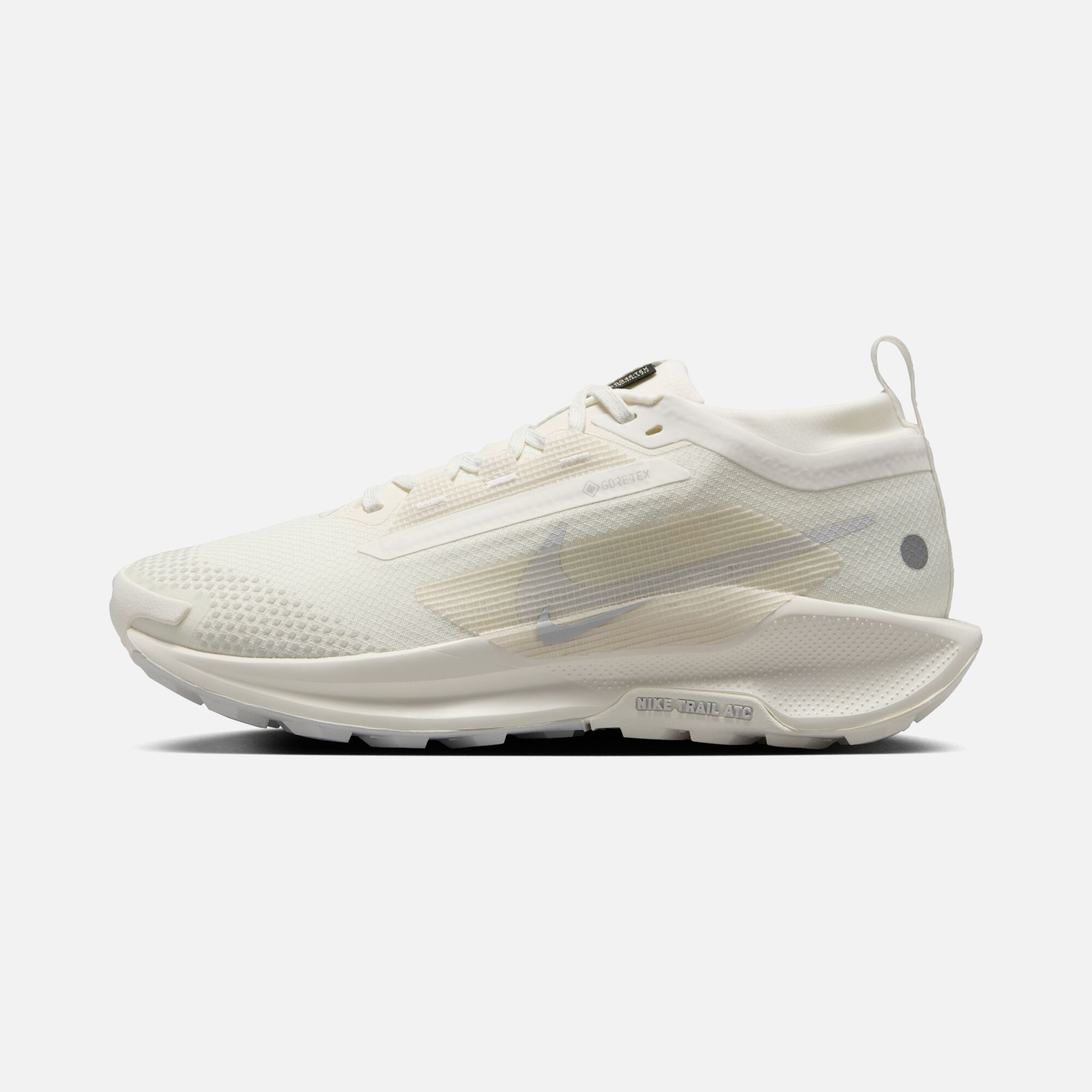 Nike Pegasus Trail 5 Gore-Tex Running Kadın Spor Ayakkabı
