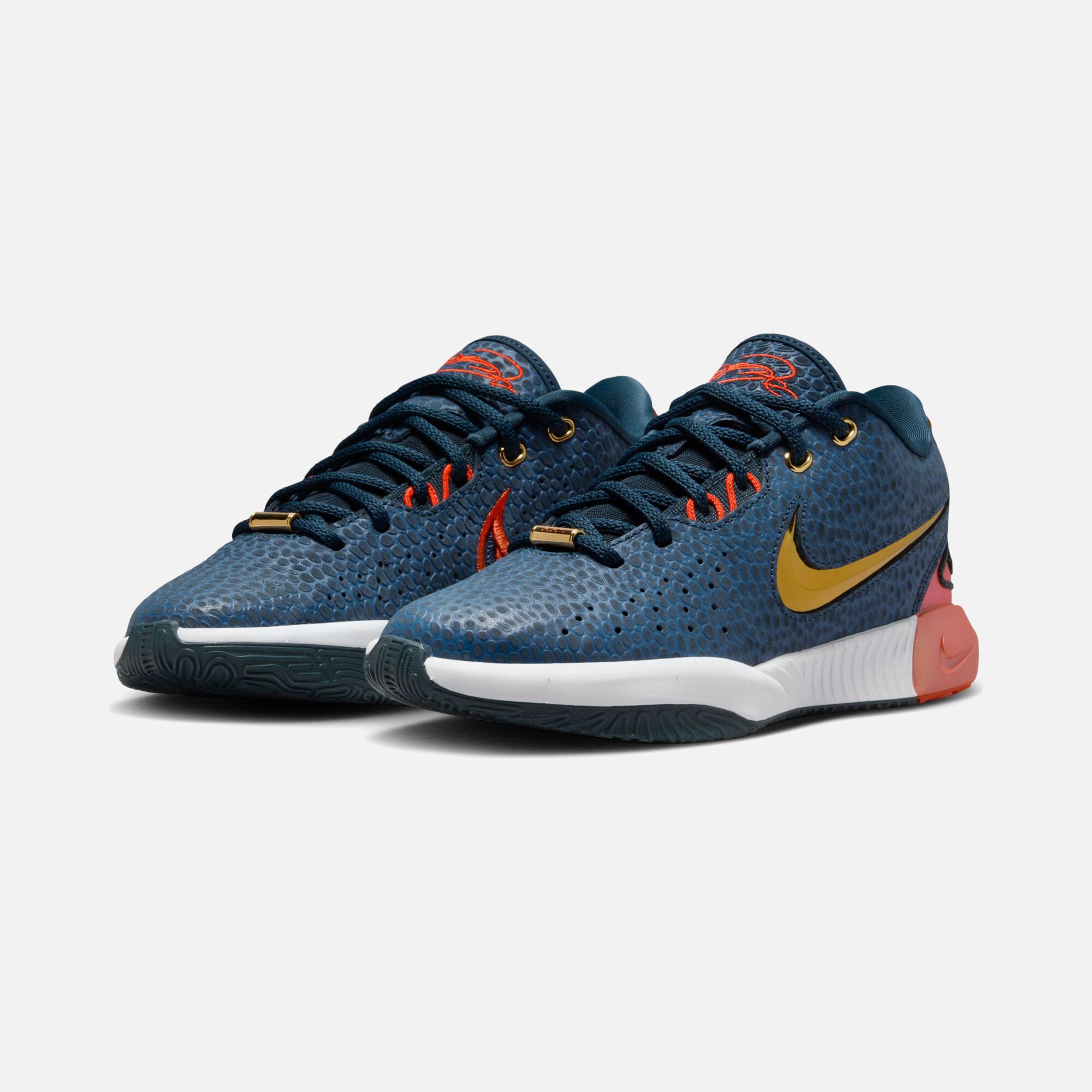 Nike LeBron James XXI SE (GS) Basketbol Ayakkabısı