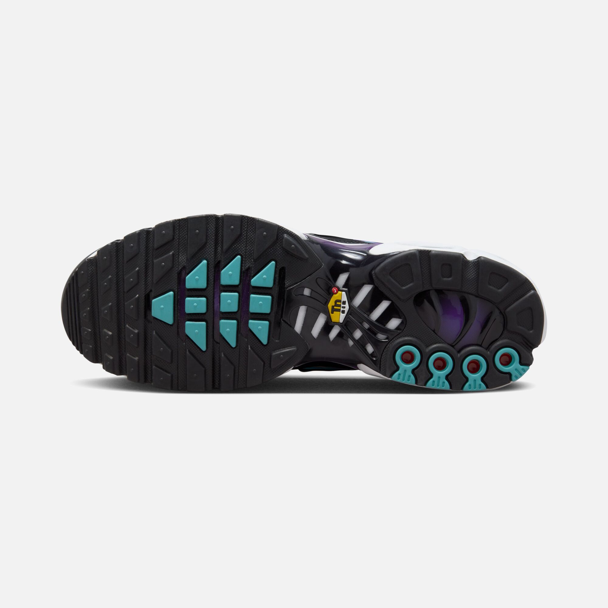 Nike Sportswear Air Max Plus TN FA23 Erkek Spor Ayakkabı