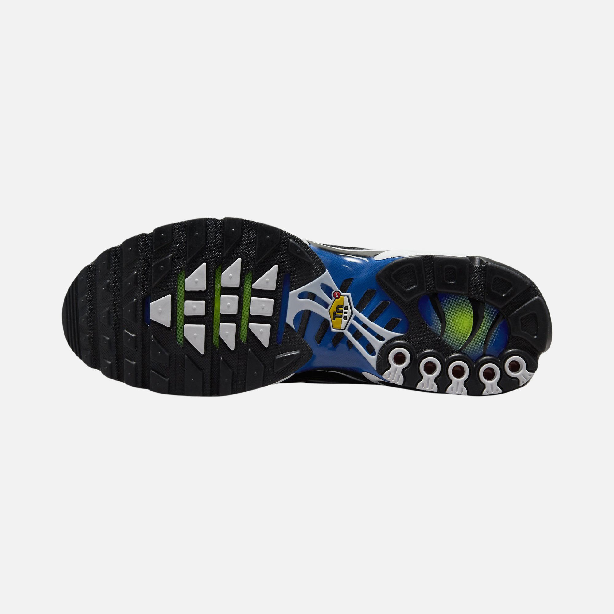 Nike Air Max Plus "Chameleon" Erkek Spor Ayakkabı