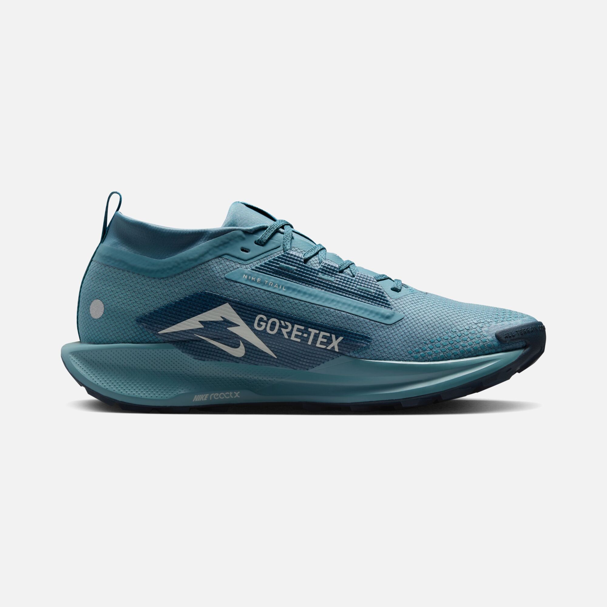 Nike Pegasus Trail 5 Gore-Tex Running Erkek Spor Ayakkabı