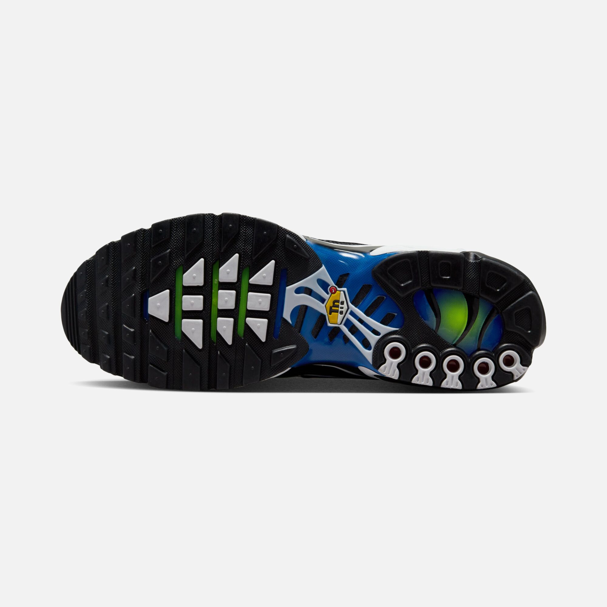 Nike Air Max Plus "Chameleon" Erkek Spor Ayakkabı