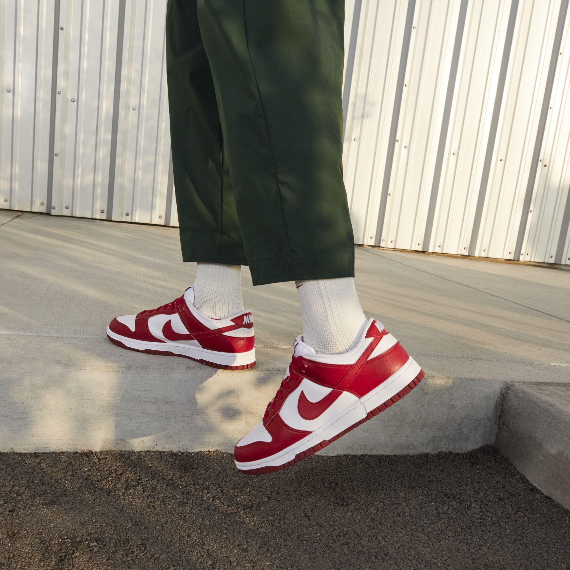 Nike Dunk Low Next Nature CO Kadın Spor Ayakkabı