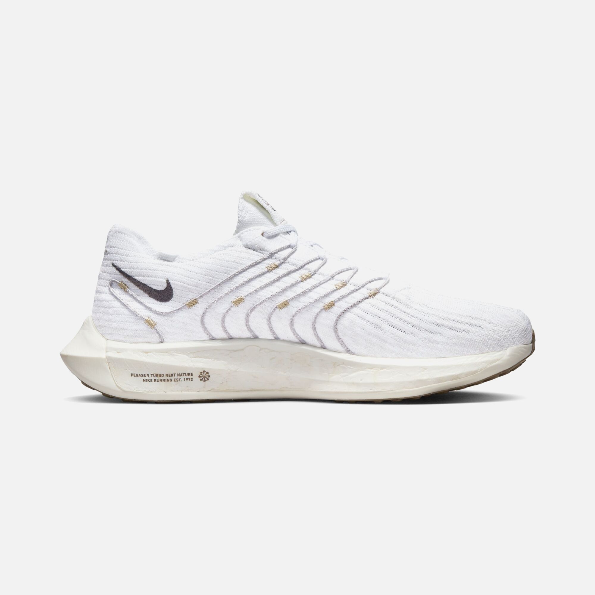 Nike Pegasus Turbo Next Nature Road Running Erkek Spor Ayakkabı