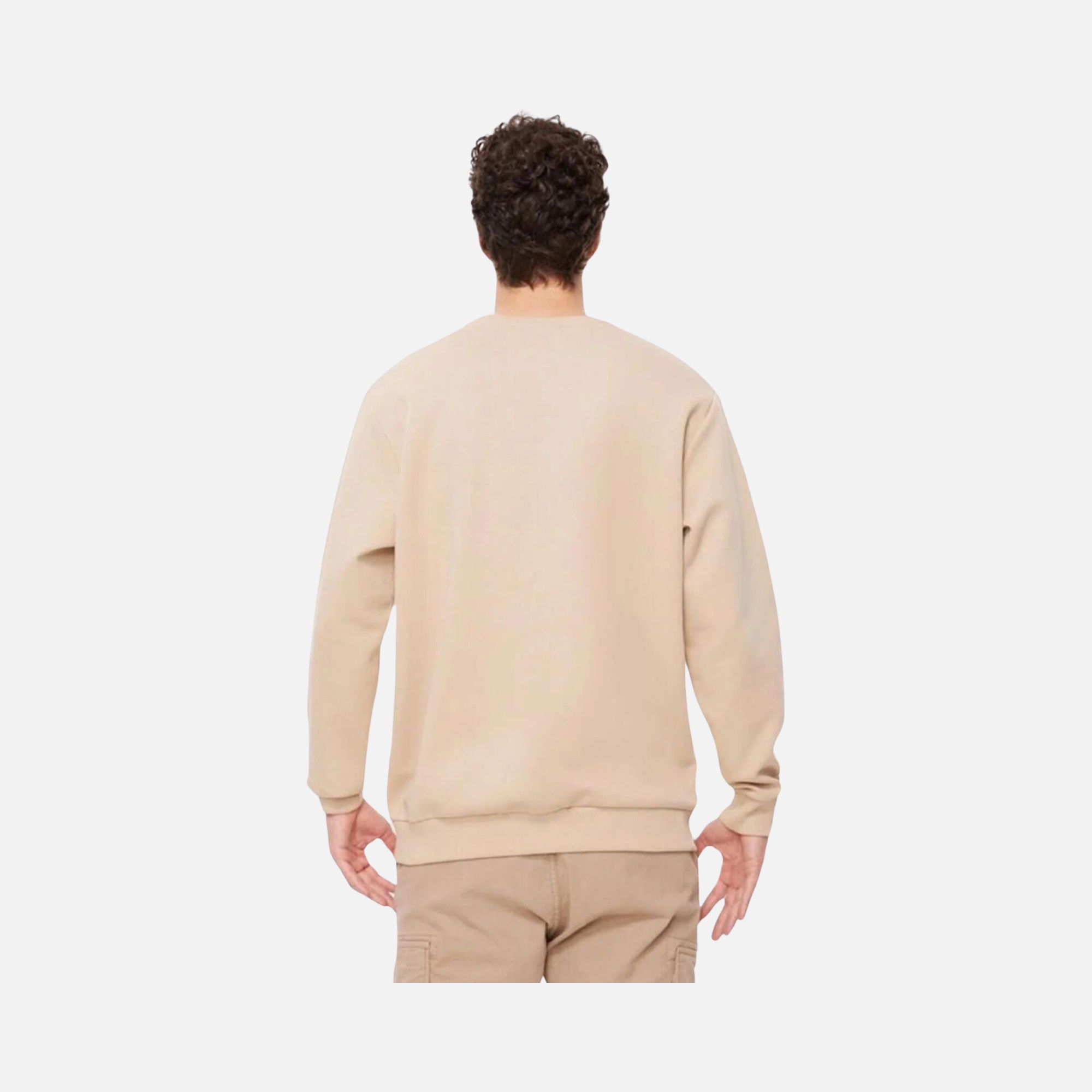 Columbia Sportswear CSC Nature And Back Crew Erkek Sweatshirt