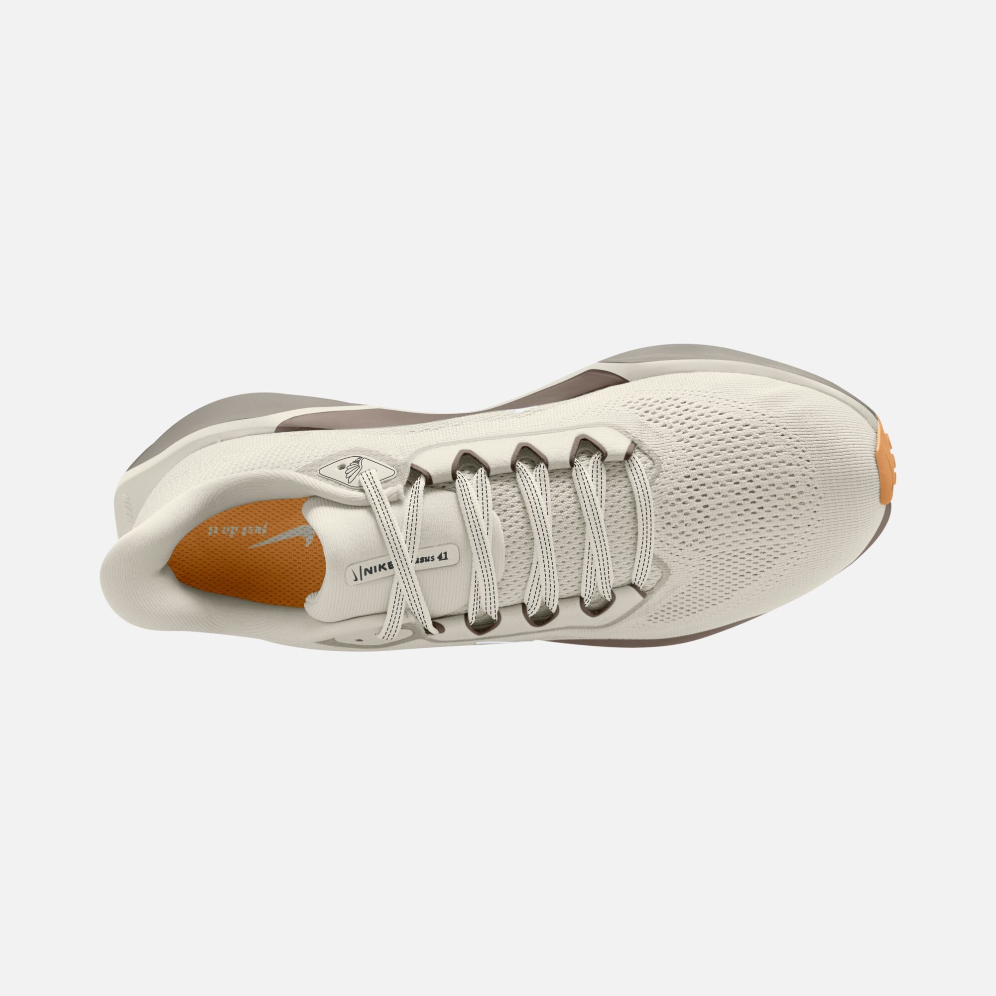 Nike Air Zoom Pegasus 41 Road Running Kadın Spor Ayakkabı