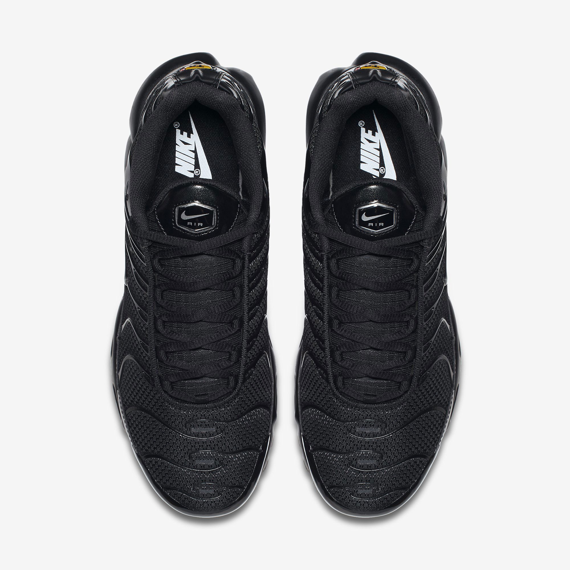 Nike Air Max Plus CO Erkek Spor Ayakkabı