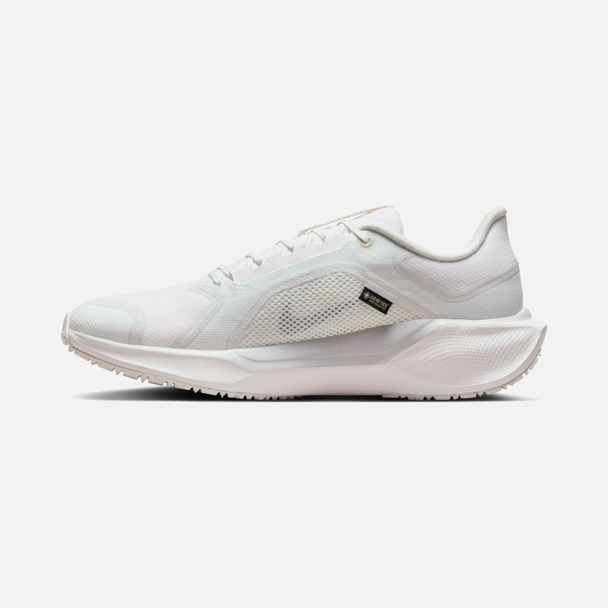 Nike Pegasus 41 Gore-Tex Waterproof Road Running Erkek Spor Ayakkabı