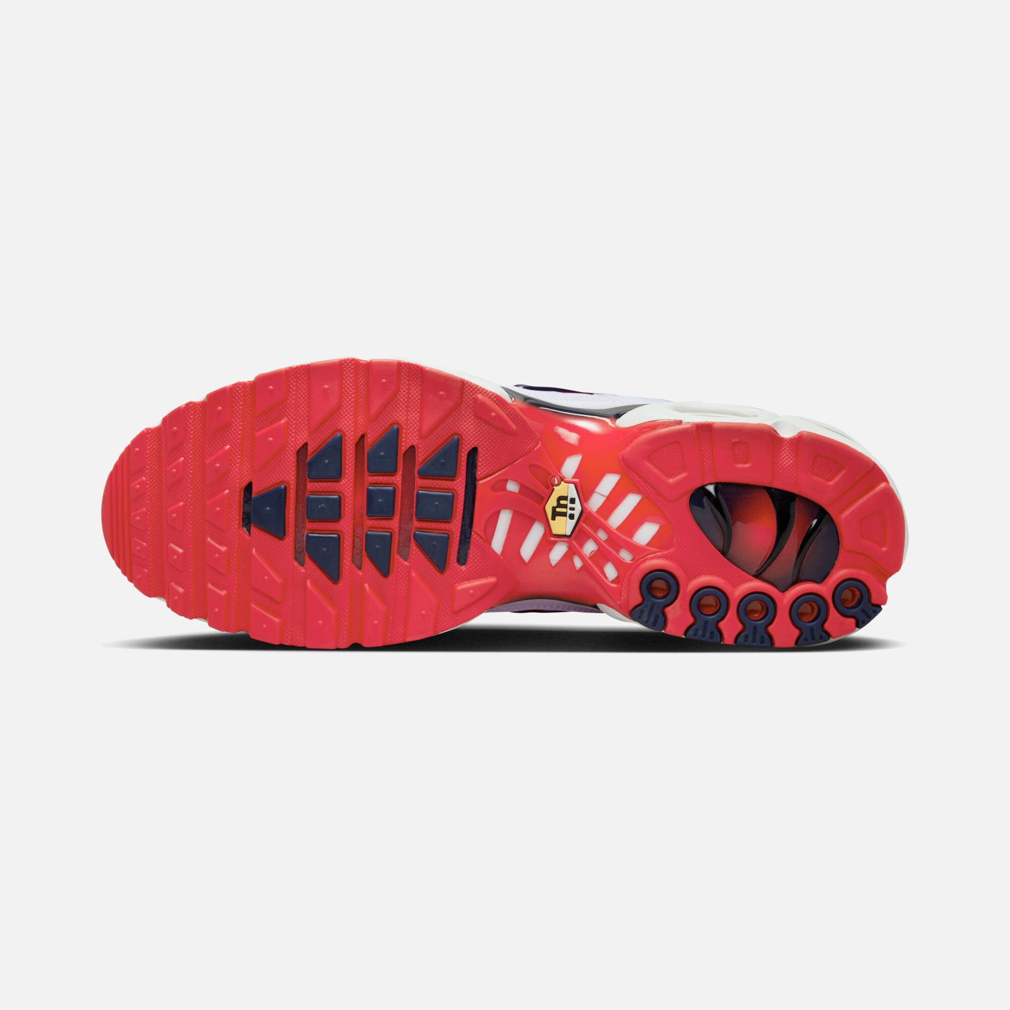 Nike Air Max Plus SS23 Erkek Spor Ayakkabı