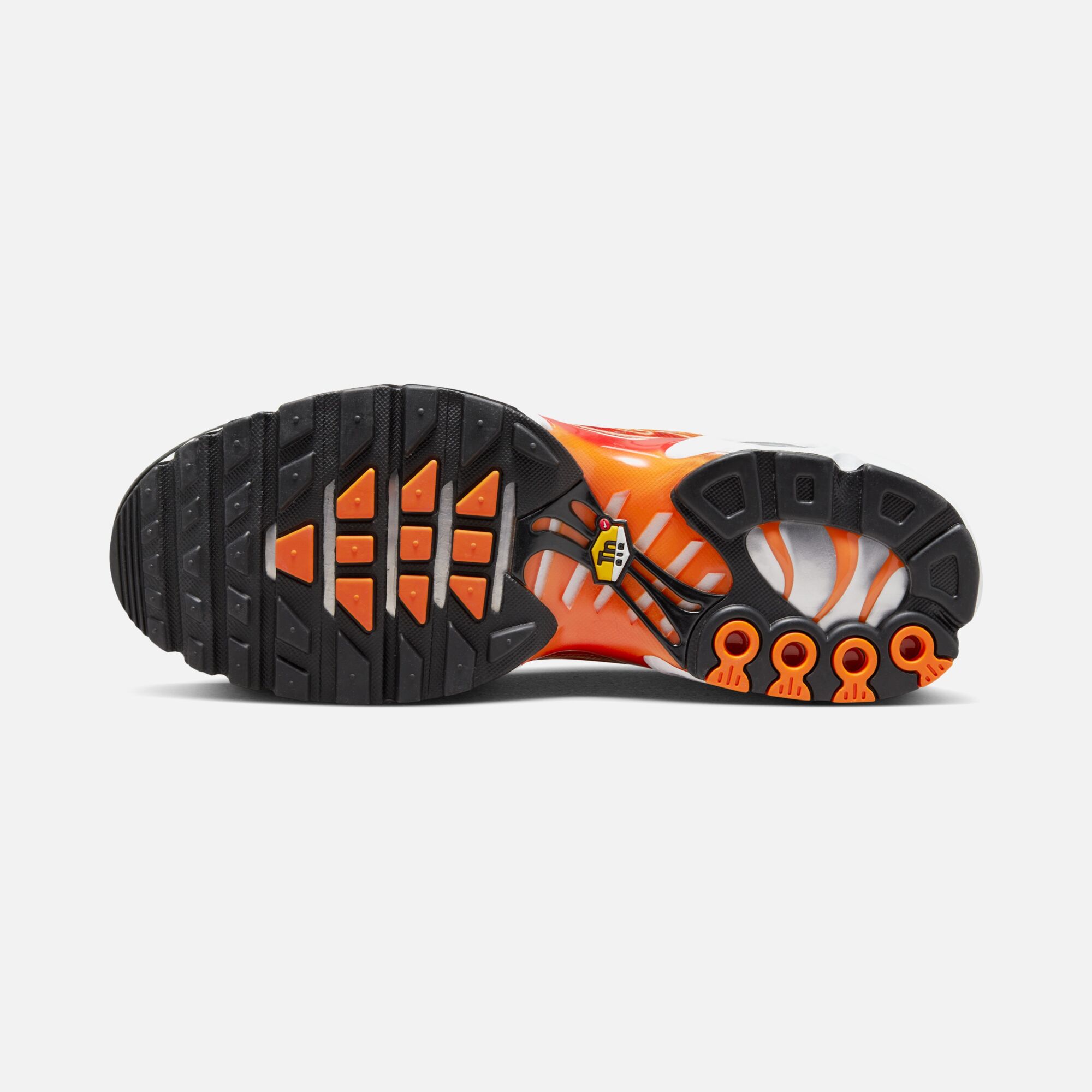 Nike Air Max Plus OG ''Plus Light Photography'' Erkek Spor Ayakkabı