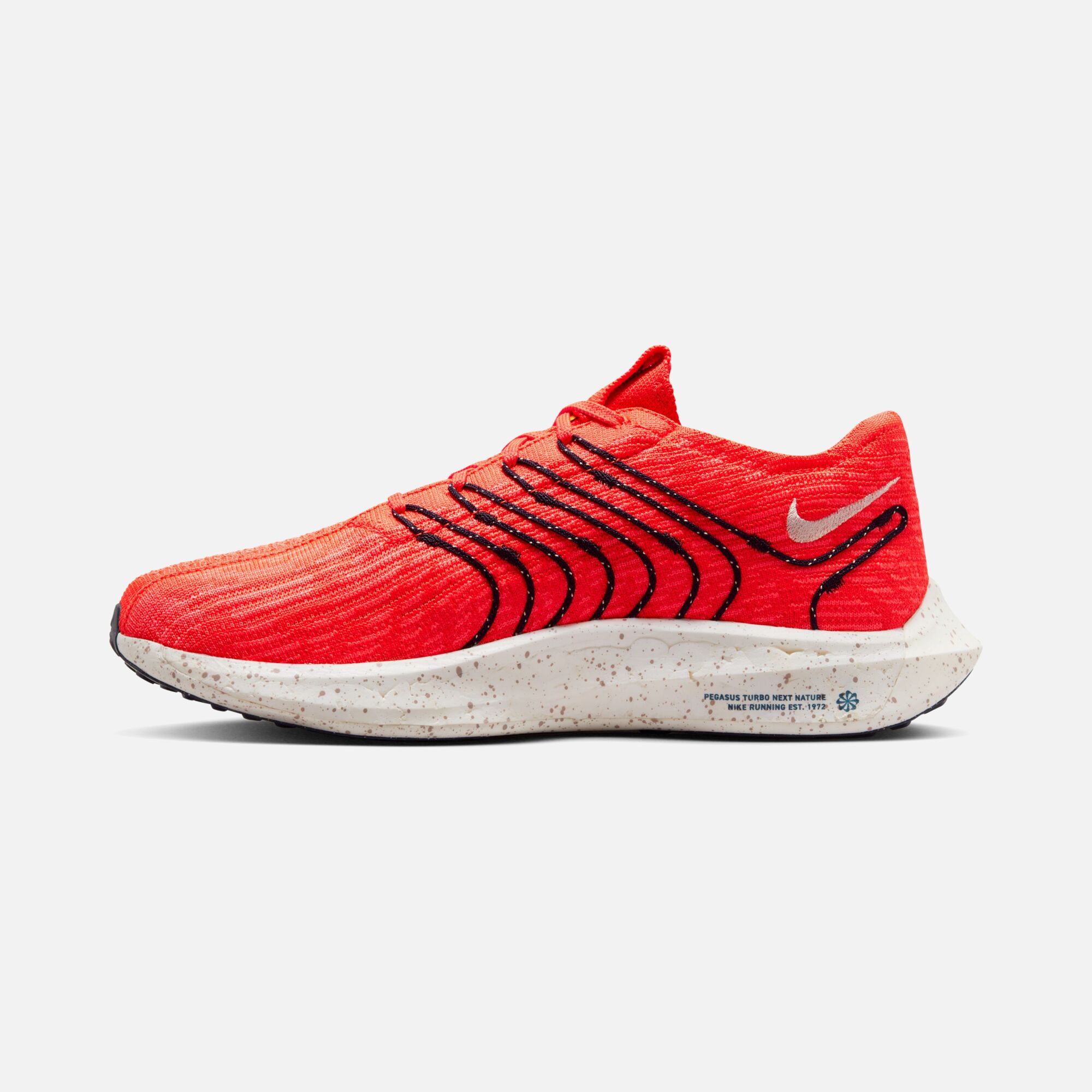 Nike Pegasus Turbo Next Nature Road Running Erkek Spor Ayakkabı