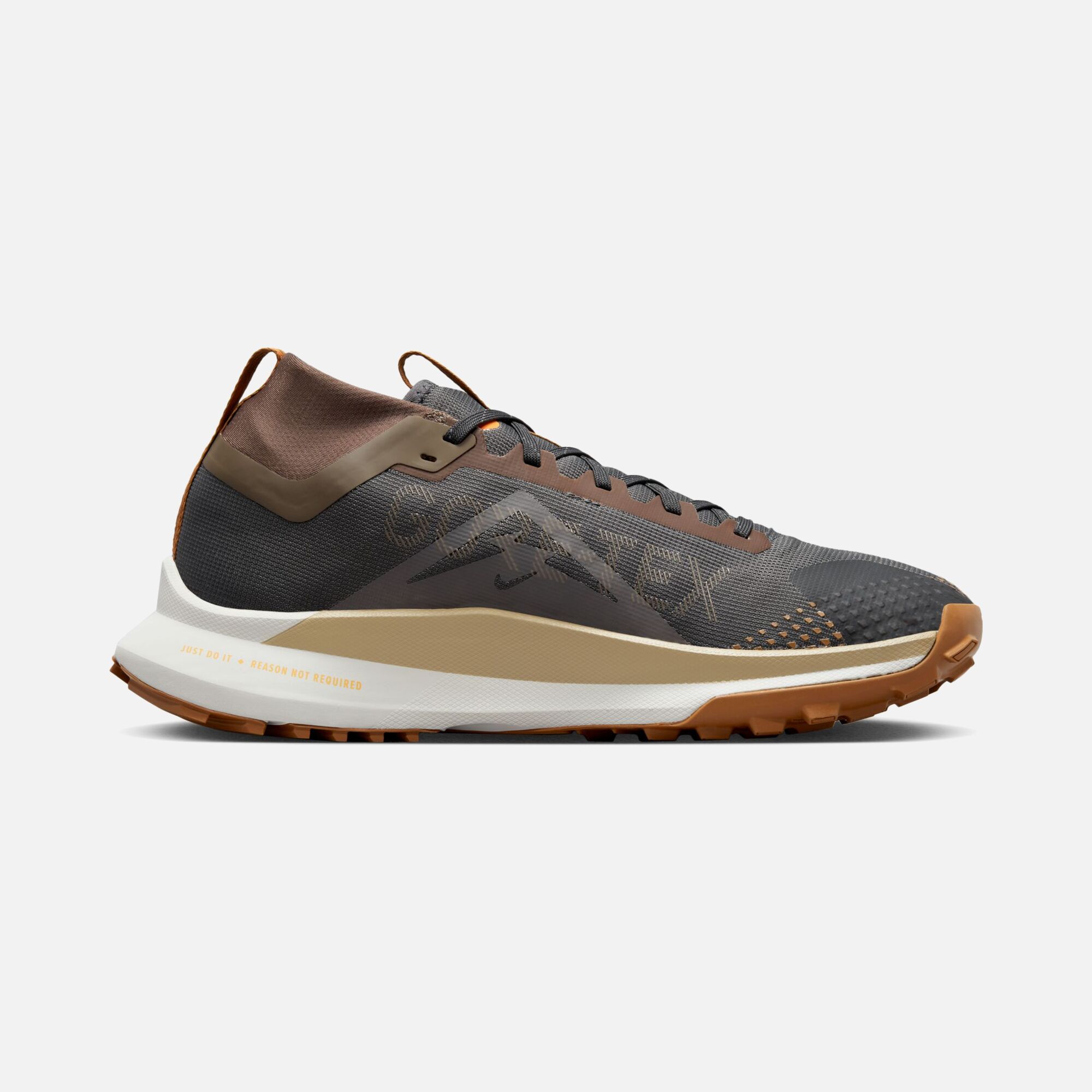 Nike Pegasus Trail 4 Gore-Tex Road Running Erkek Spor Ayakkabı