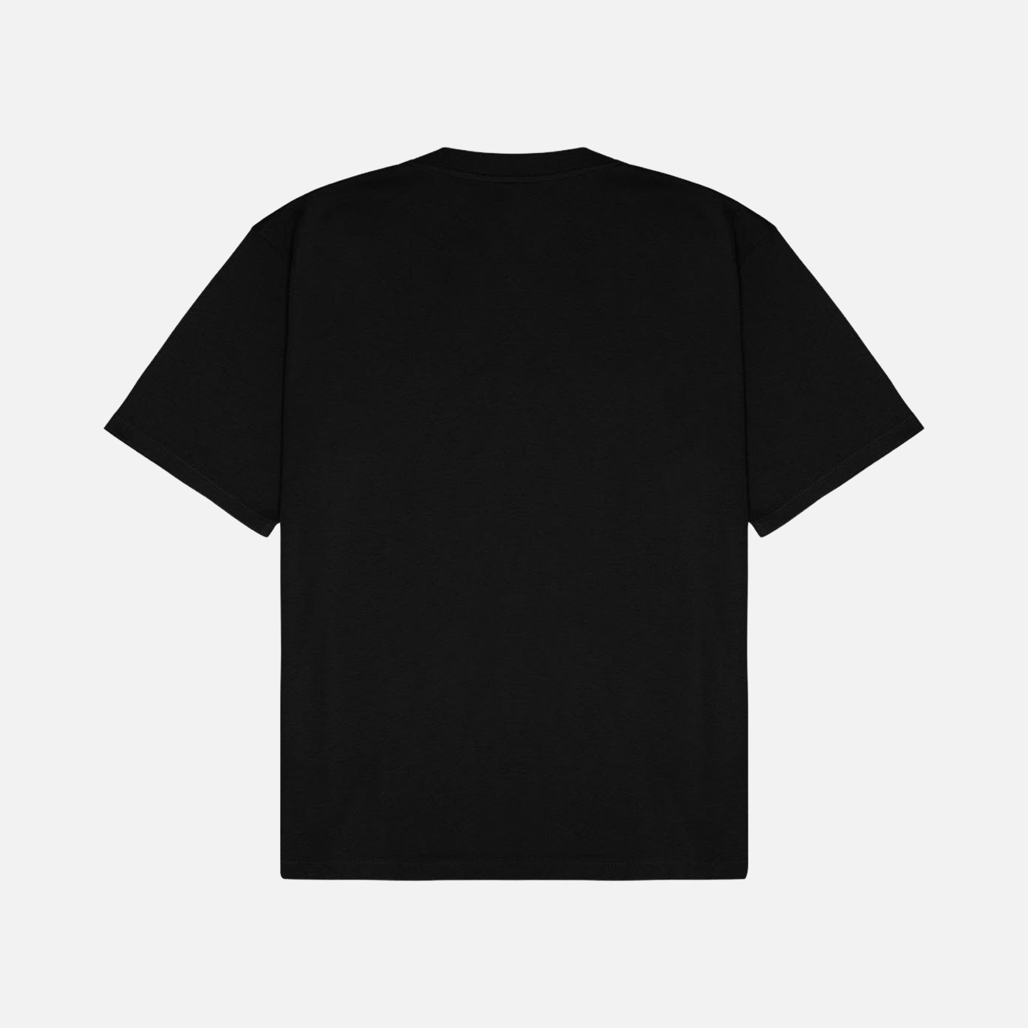 WWF Sportswear Bizon Embroidered Oversize Short-Sleeve Unisex Tişört