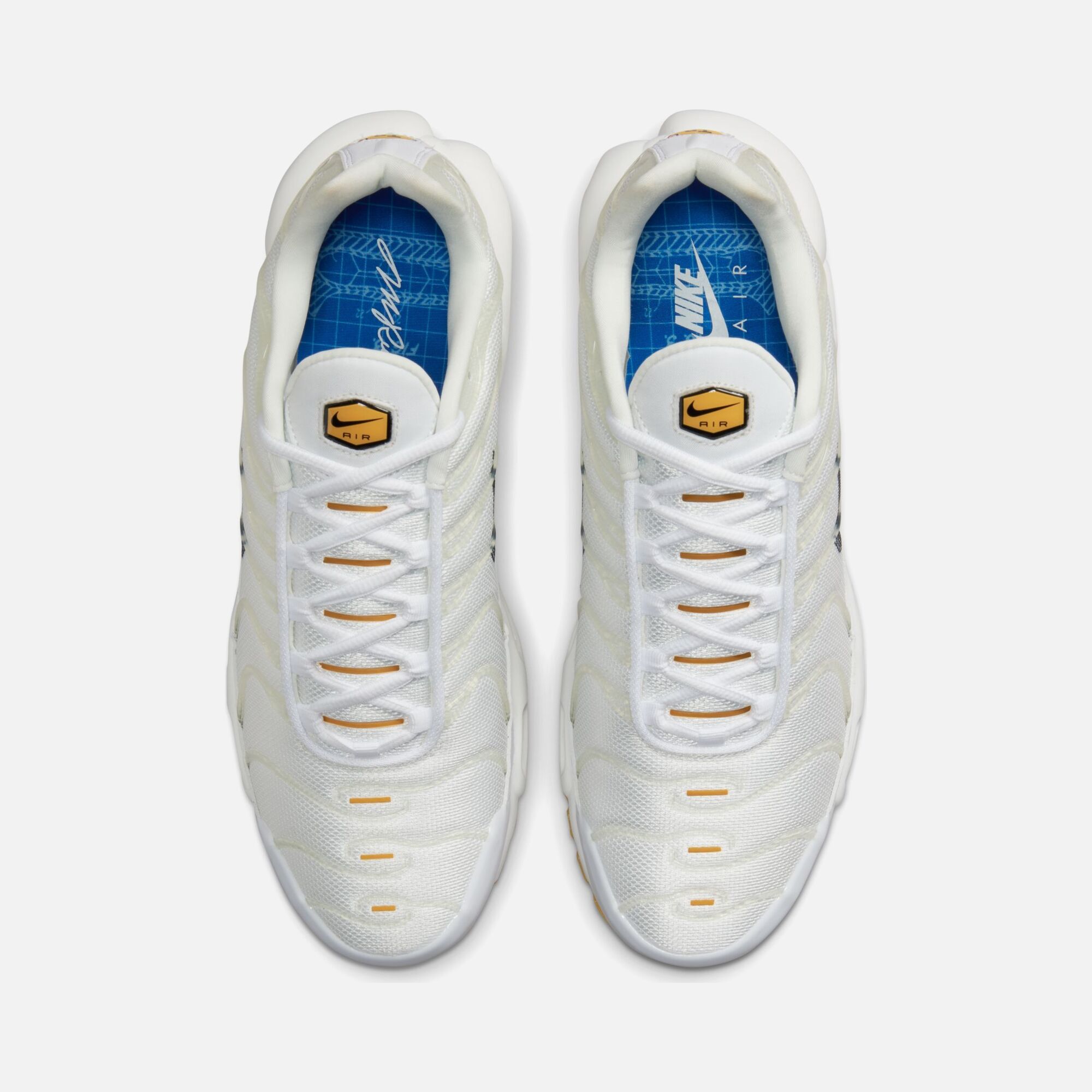 Nike Air Max Plus SE FW22 Erkek Spor Ayakkabı