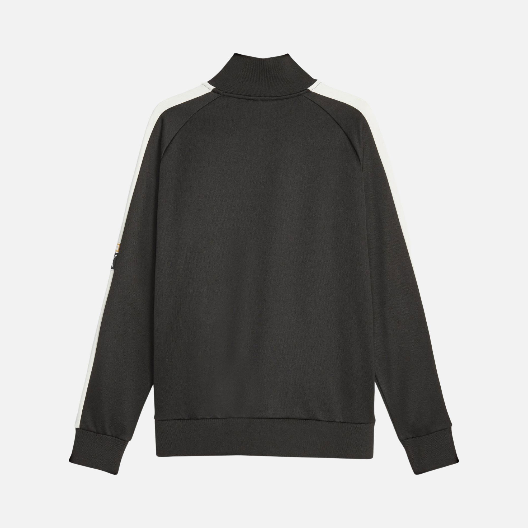 Puma Sportswear Forward History Full-Zip Erkek Ceket