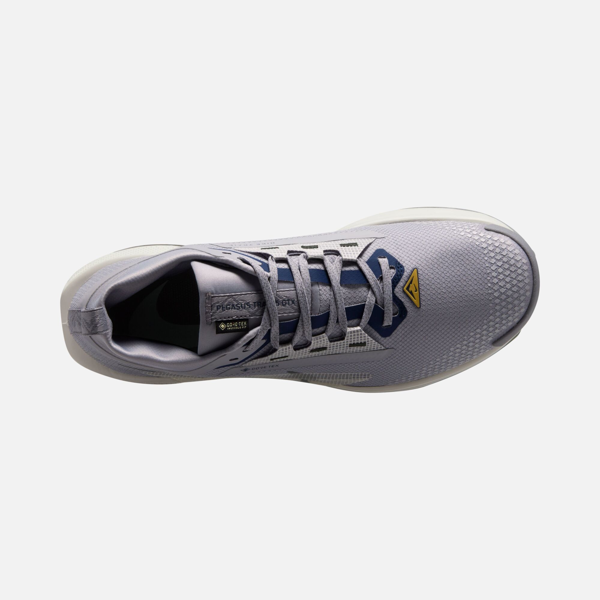 Nike Pegasus Trail 5 Gore-Tex Running Erkek Spor Ayakkabı
