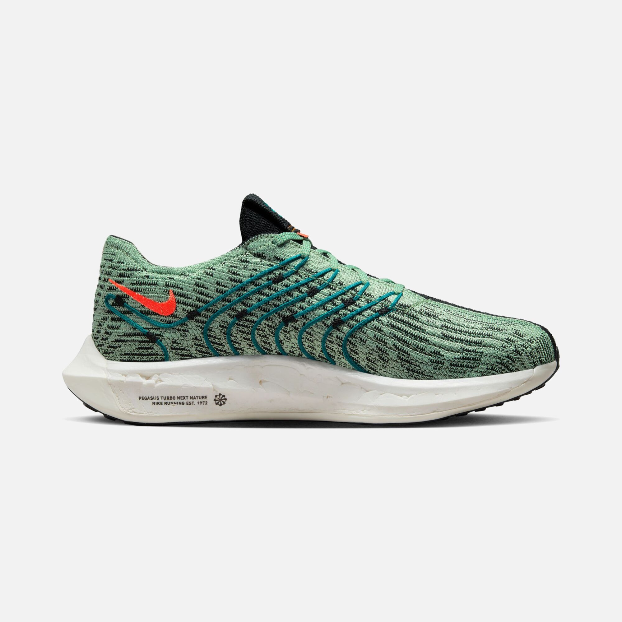 Nike Air Zoom Pegasus Turbo Next Nature Road Running Erkek Spor Ayakkabı