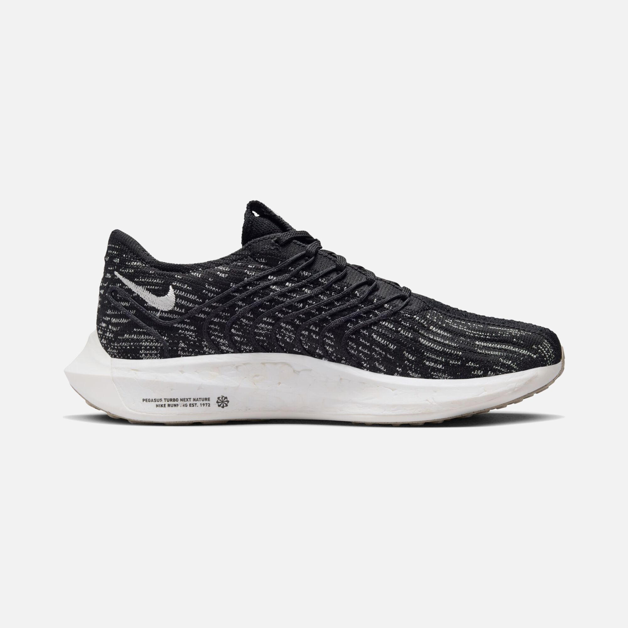 Nike Pegasus Turbo Next Nature Road Running Kadın Spor Ayakkabı
