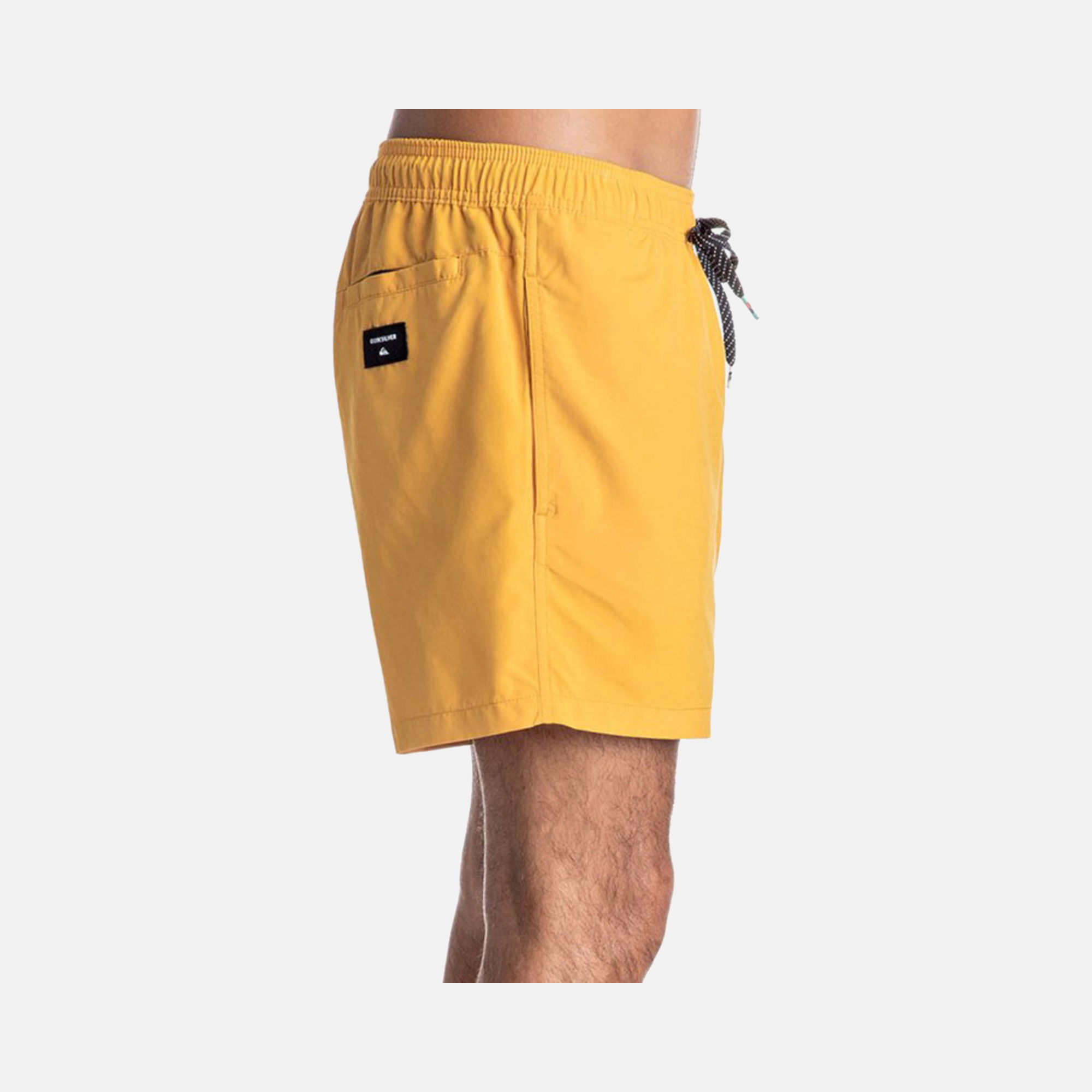 Quiksilver Every Solid vol15 Erkek Şort Mayo