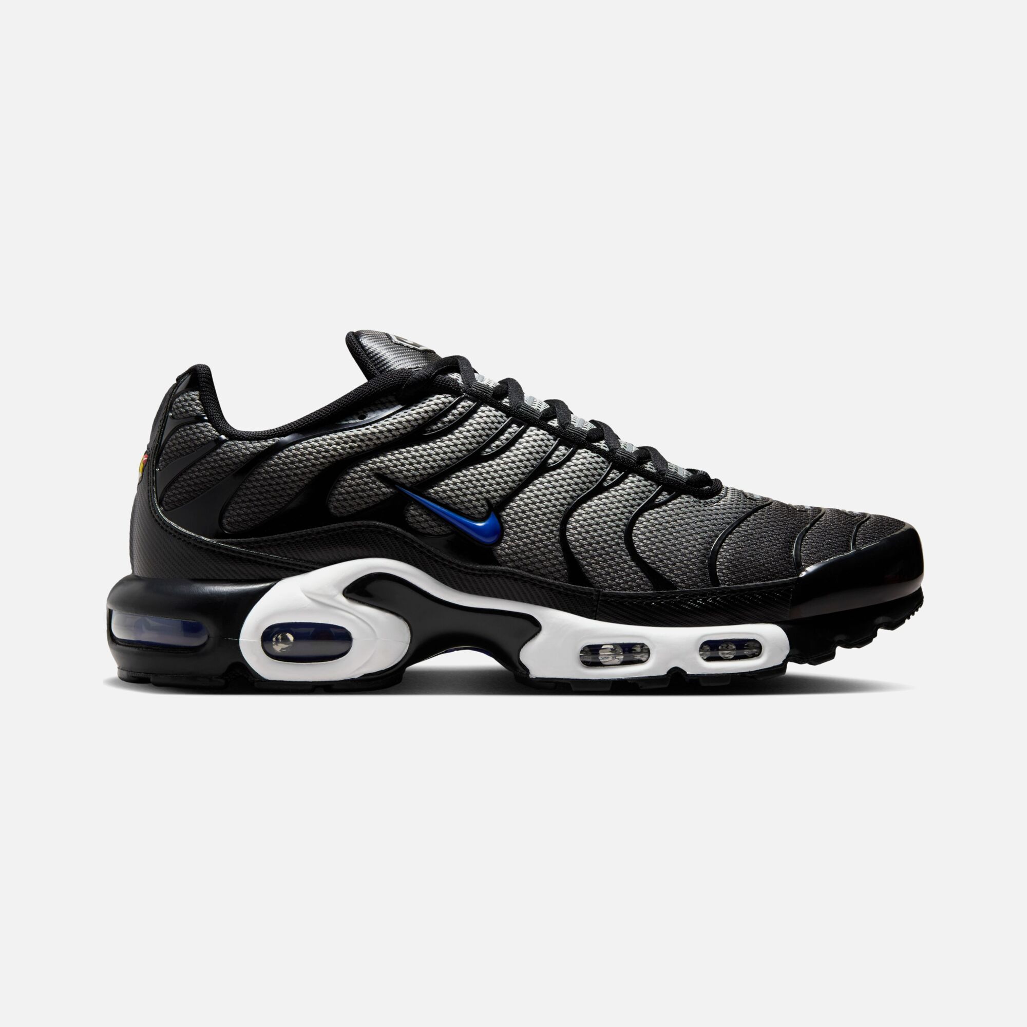 Nike Air Max Plus FA24 Erkek Spor Ayakkabı