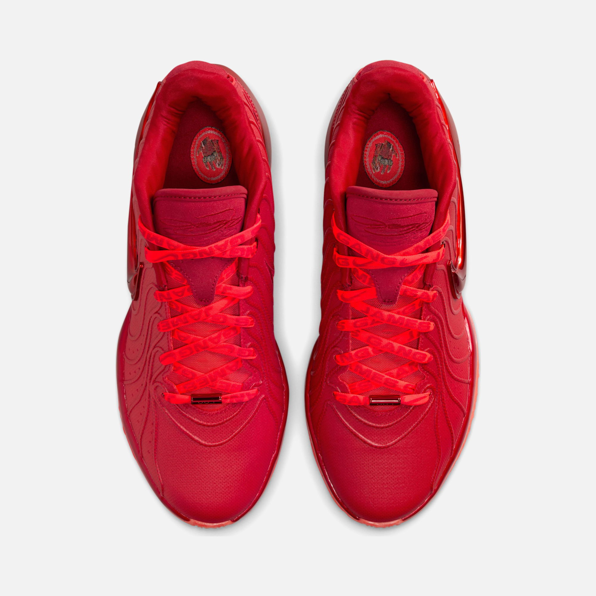 Nike LeBron James XXI ''James Gang'' Erkek Basketbol Ayakkabısı